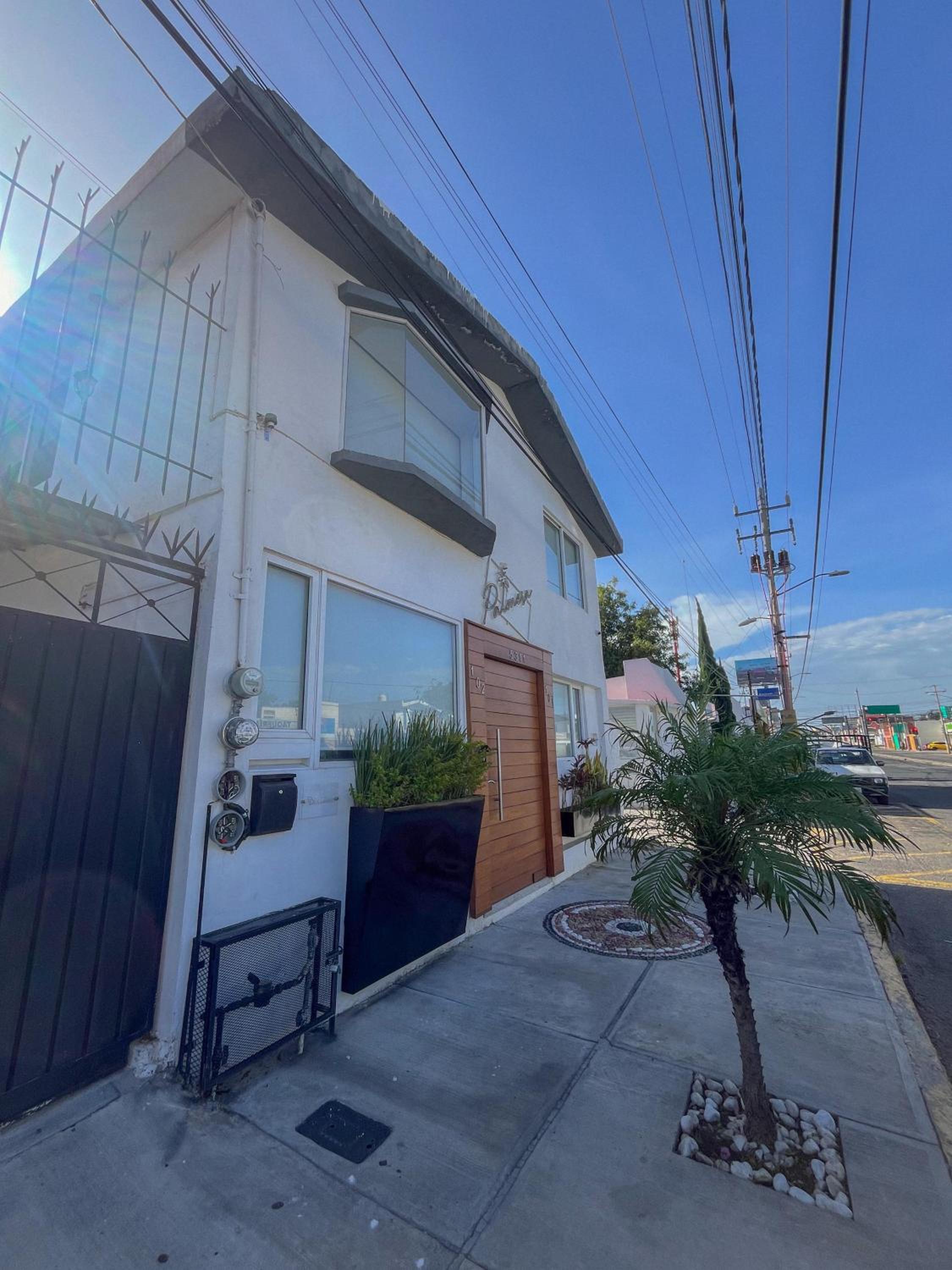 Casa palmera view 4