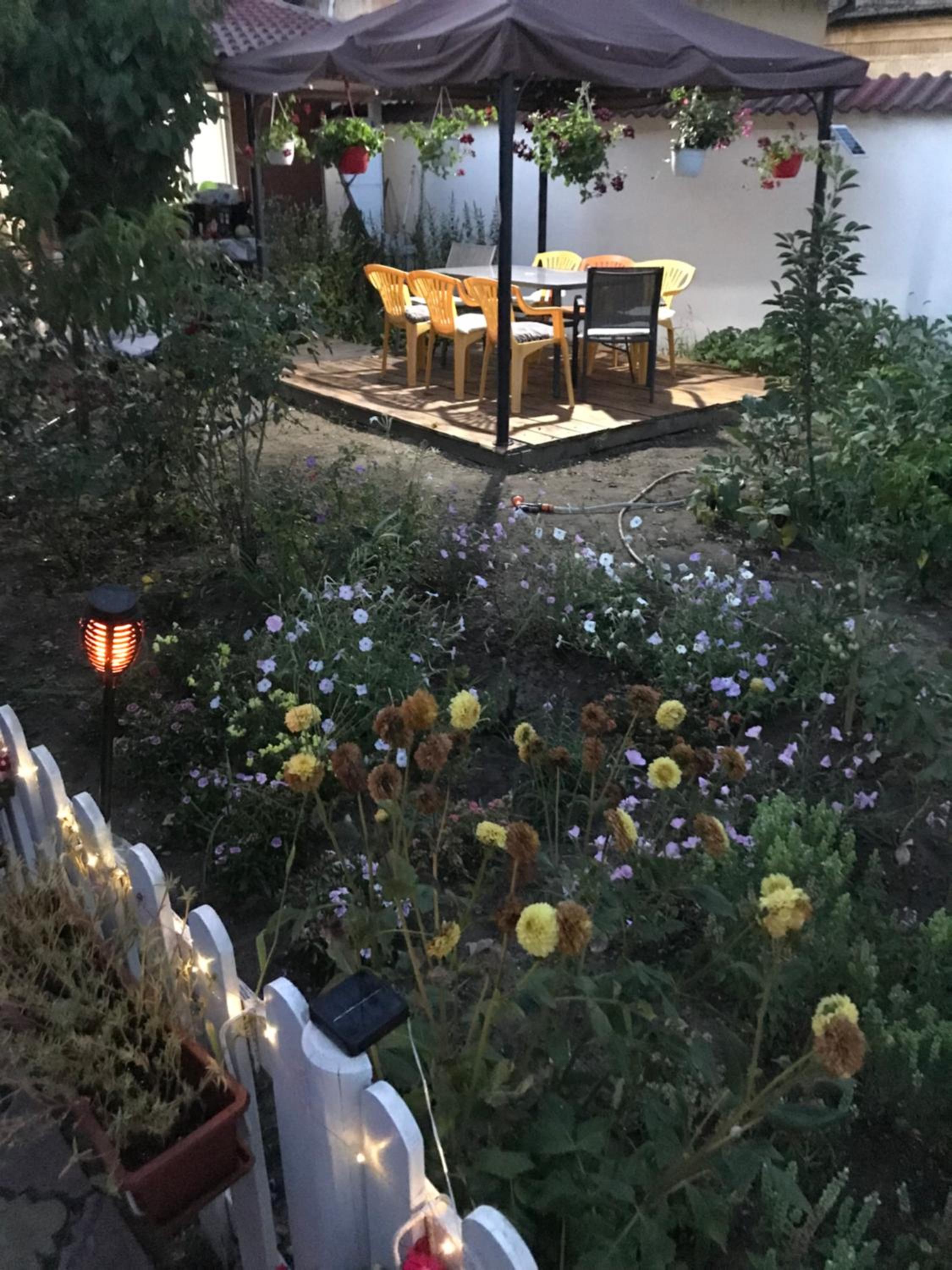 Photo 16