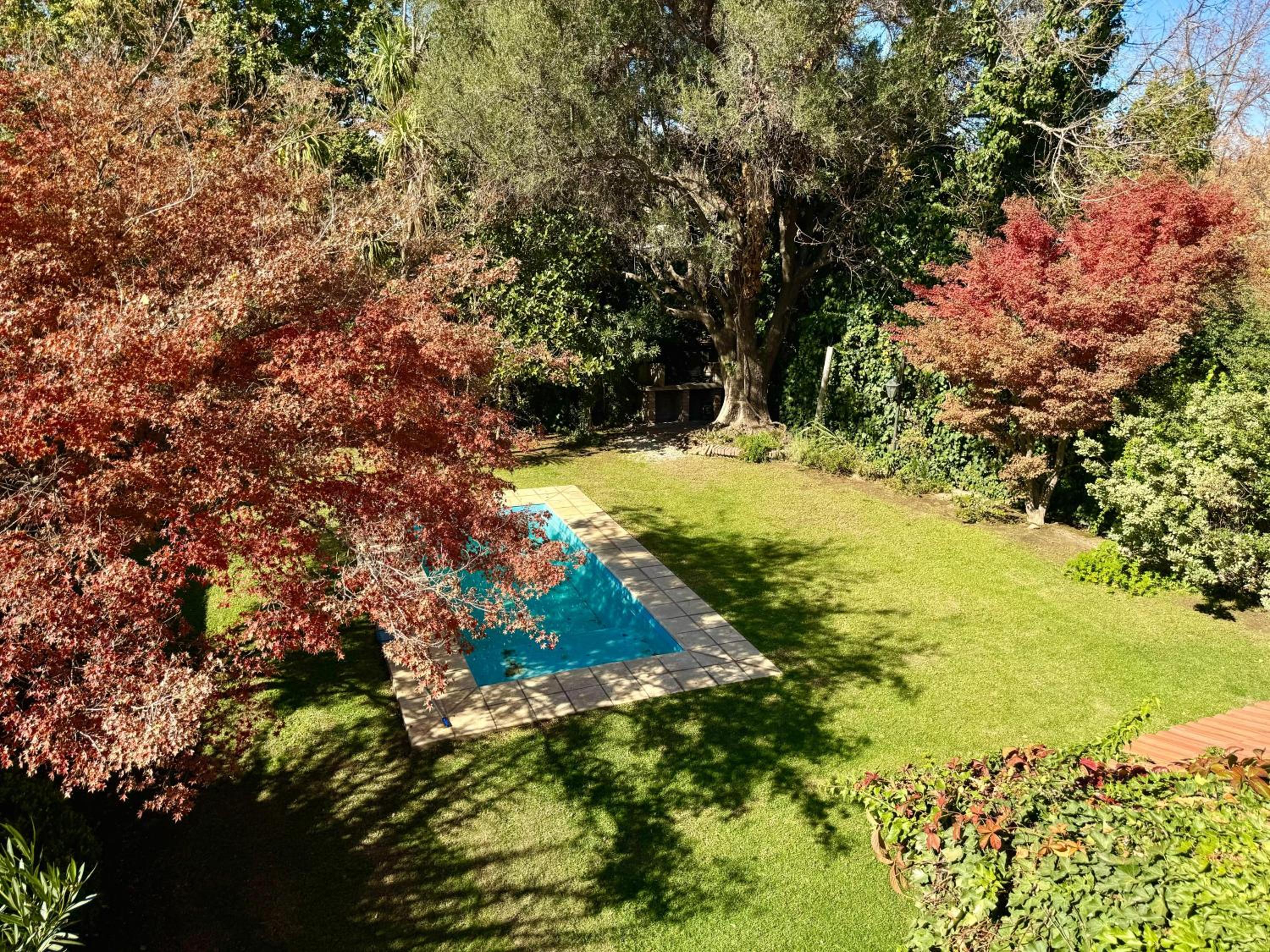 Olive Tree House with Pool Table and Swimming Pool