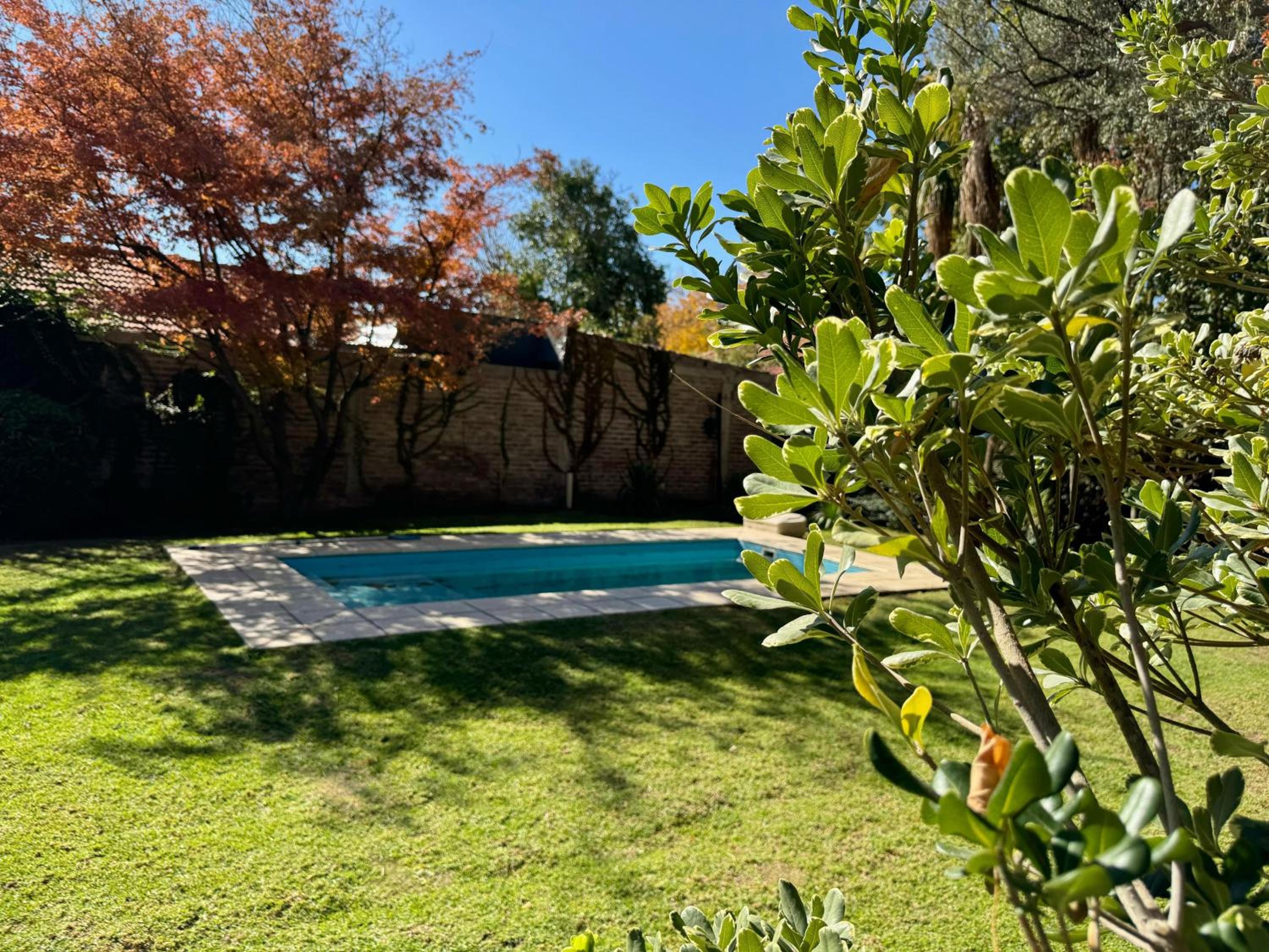 Olive Tree House with Pool Table and Swimming Pool