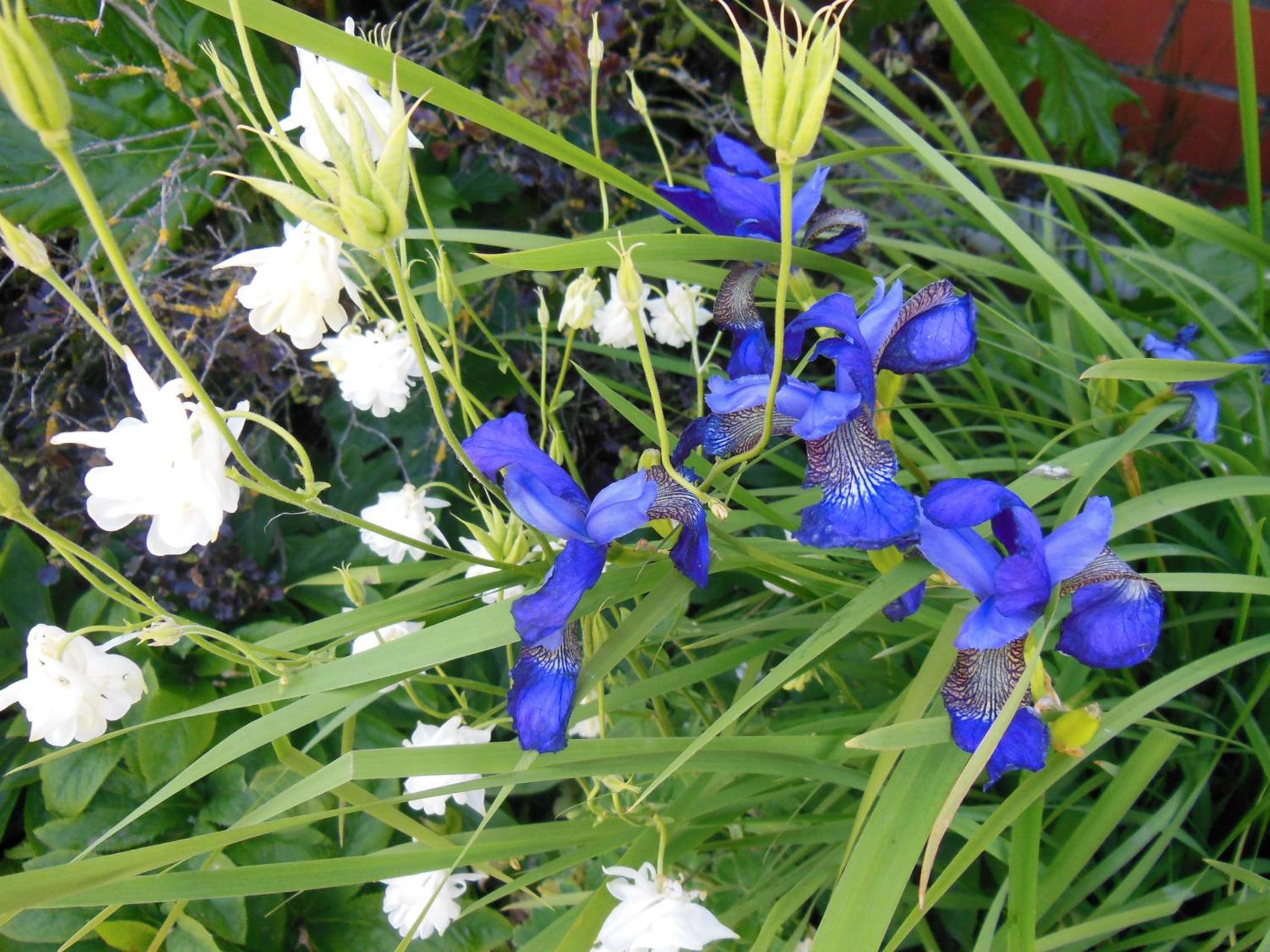 Photo 29