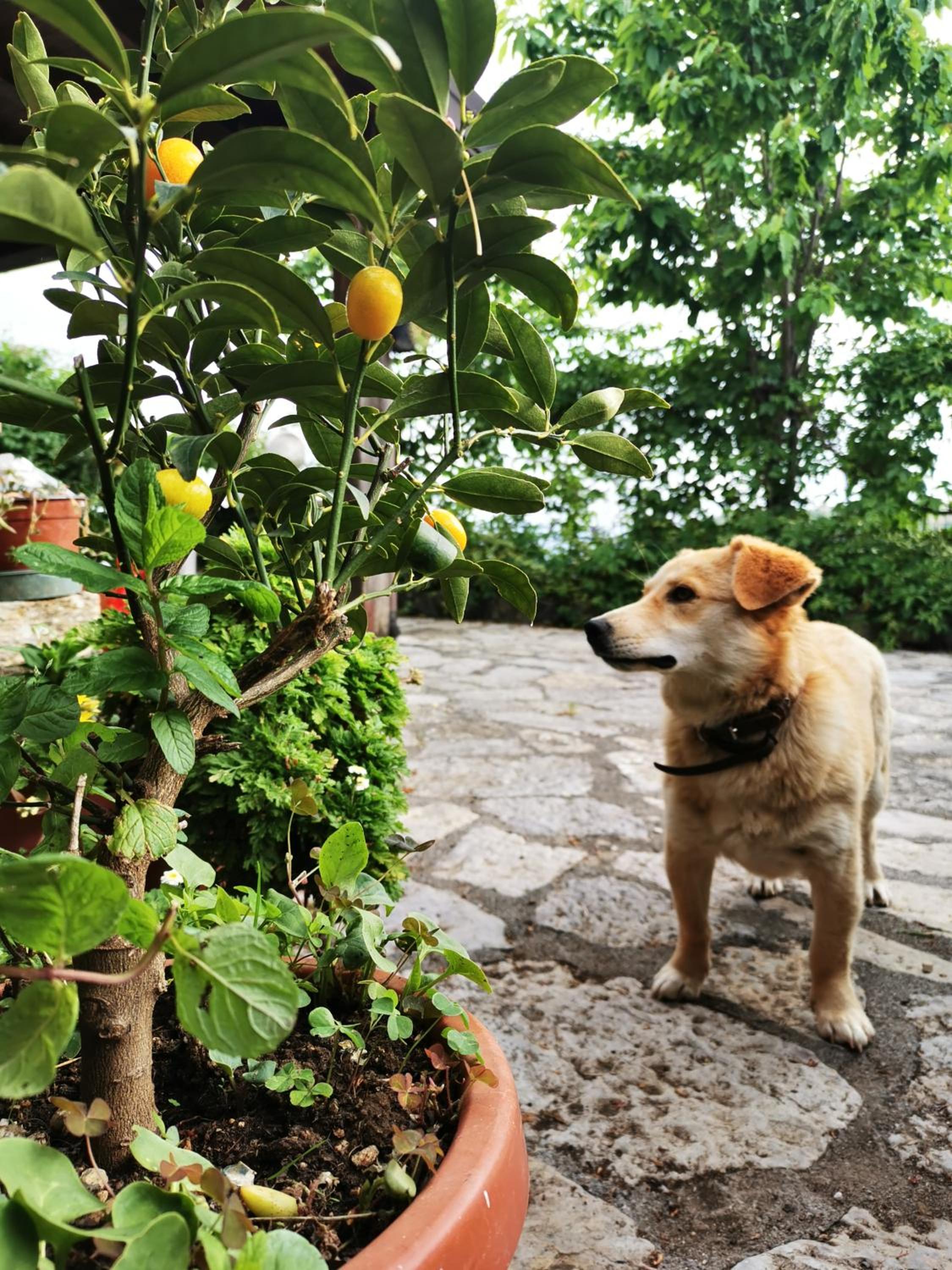 Agriturismo Donna Bianca