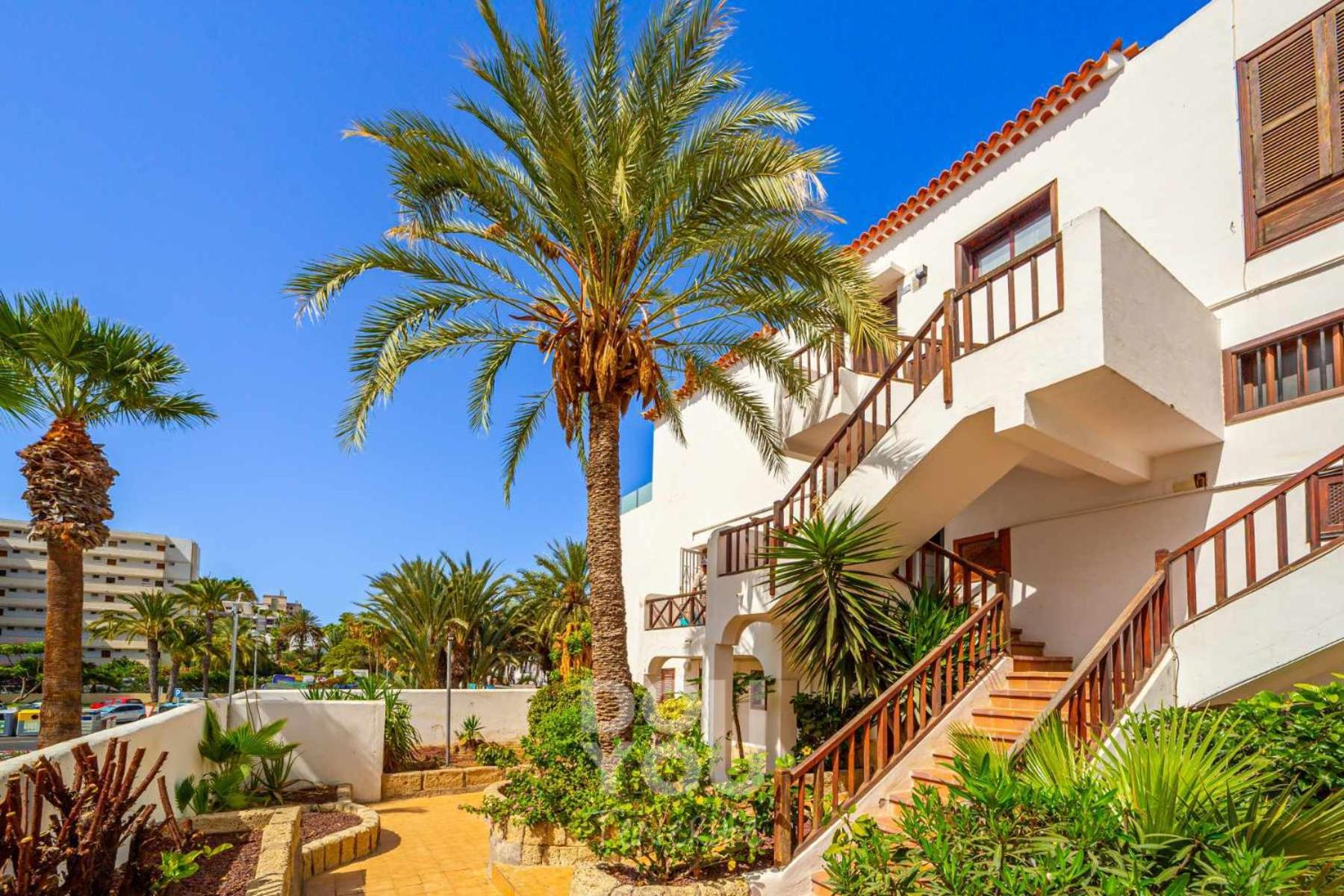 Apartment Paraiso Royal