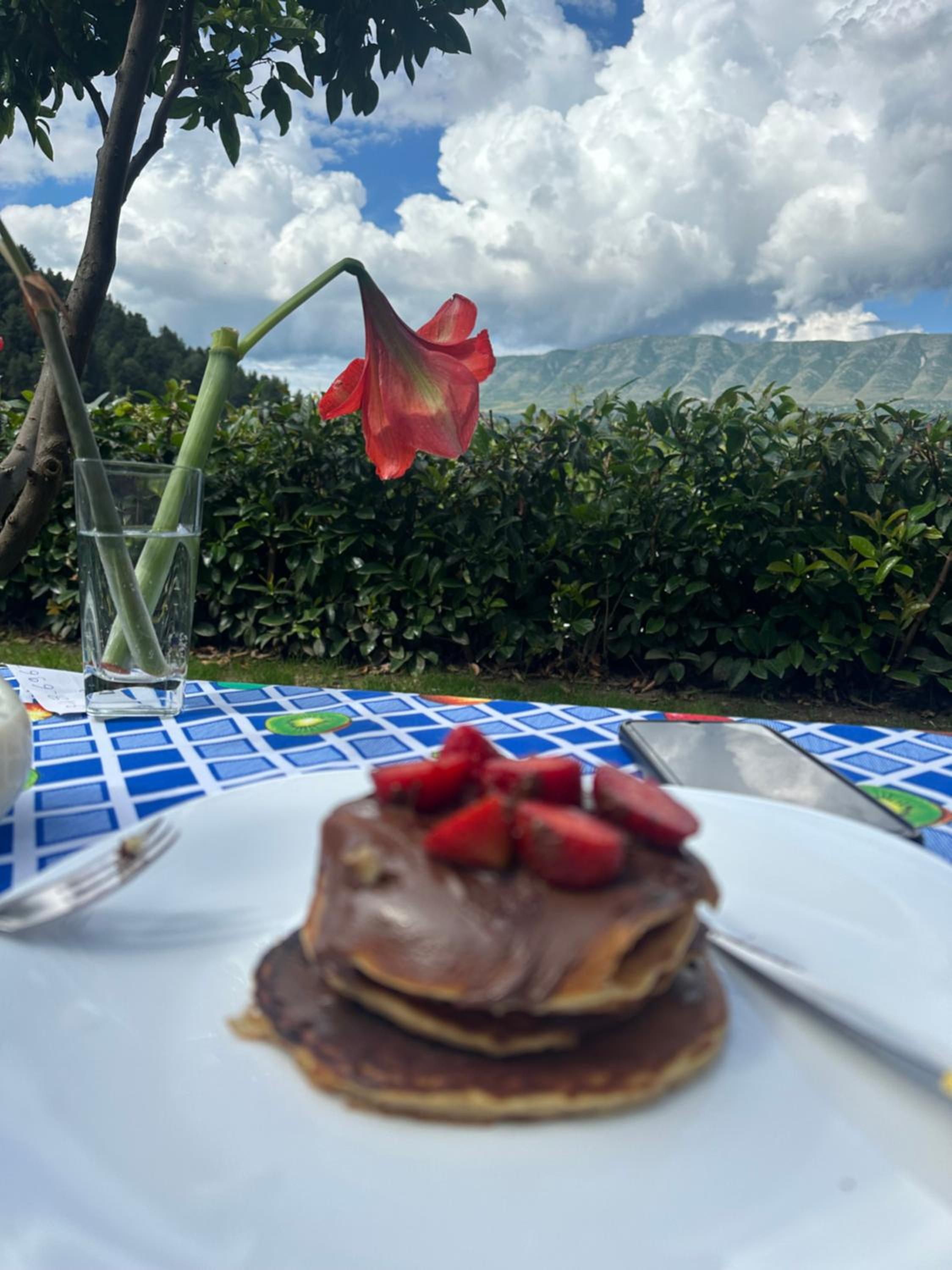 Hotel Villa Edis