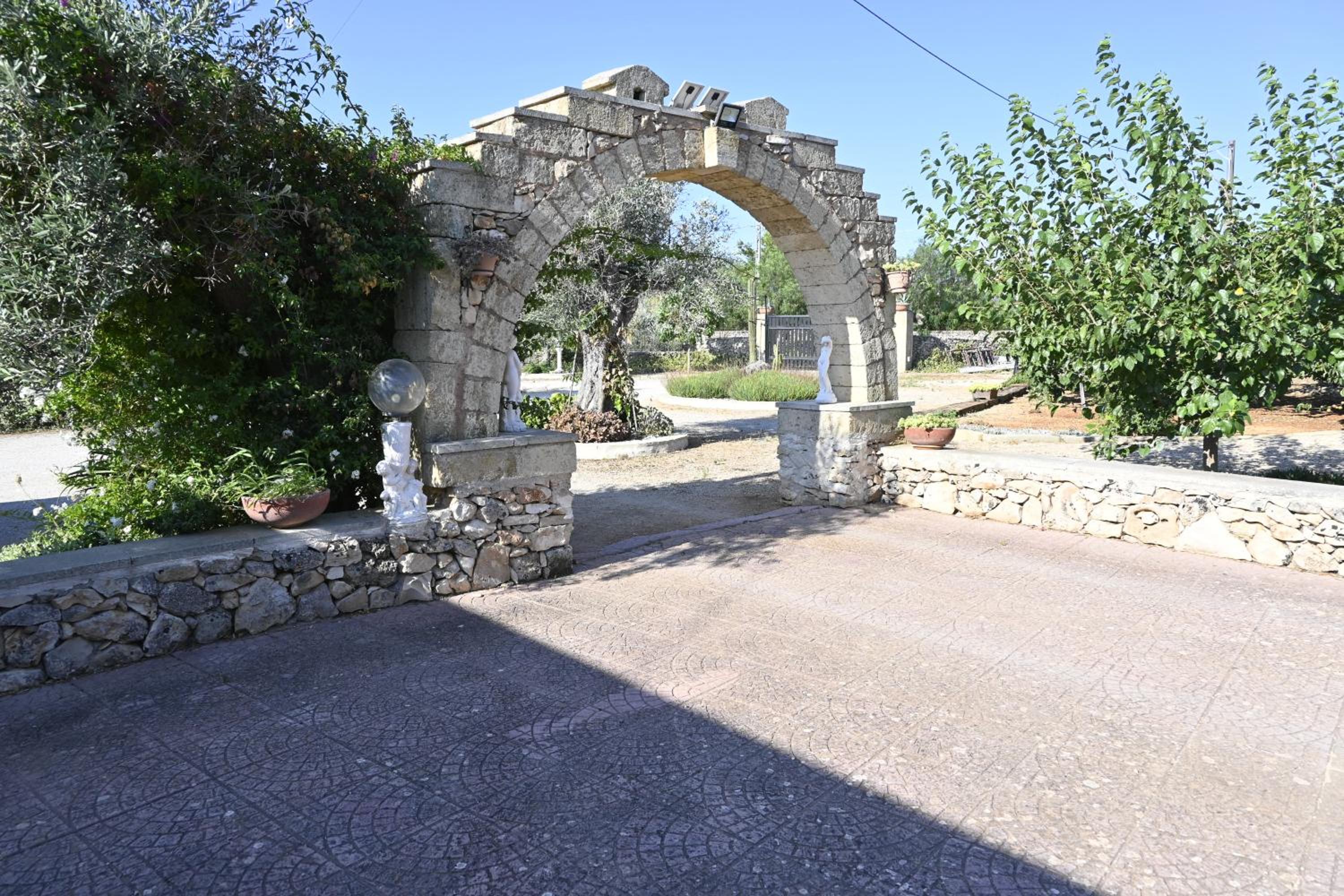 Photo 25