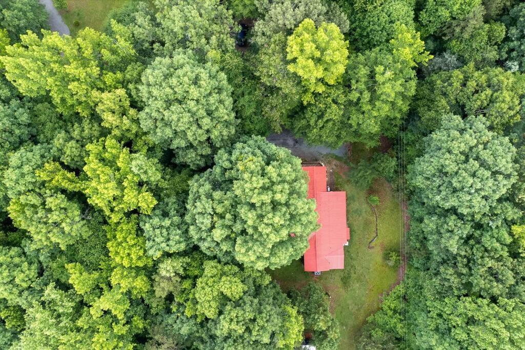 Richburg Vacations - Cozy Party House in the woods - Property Image 2