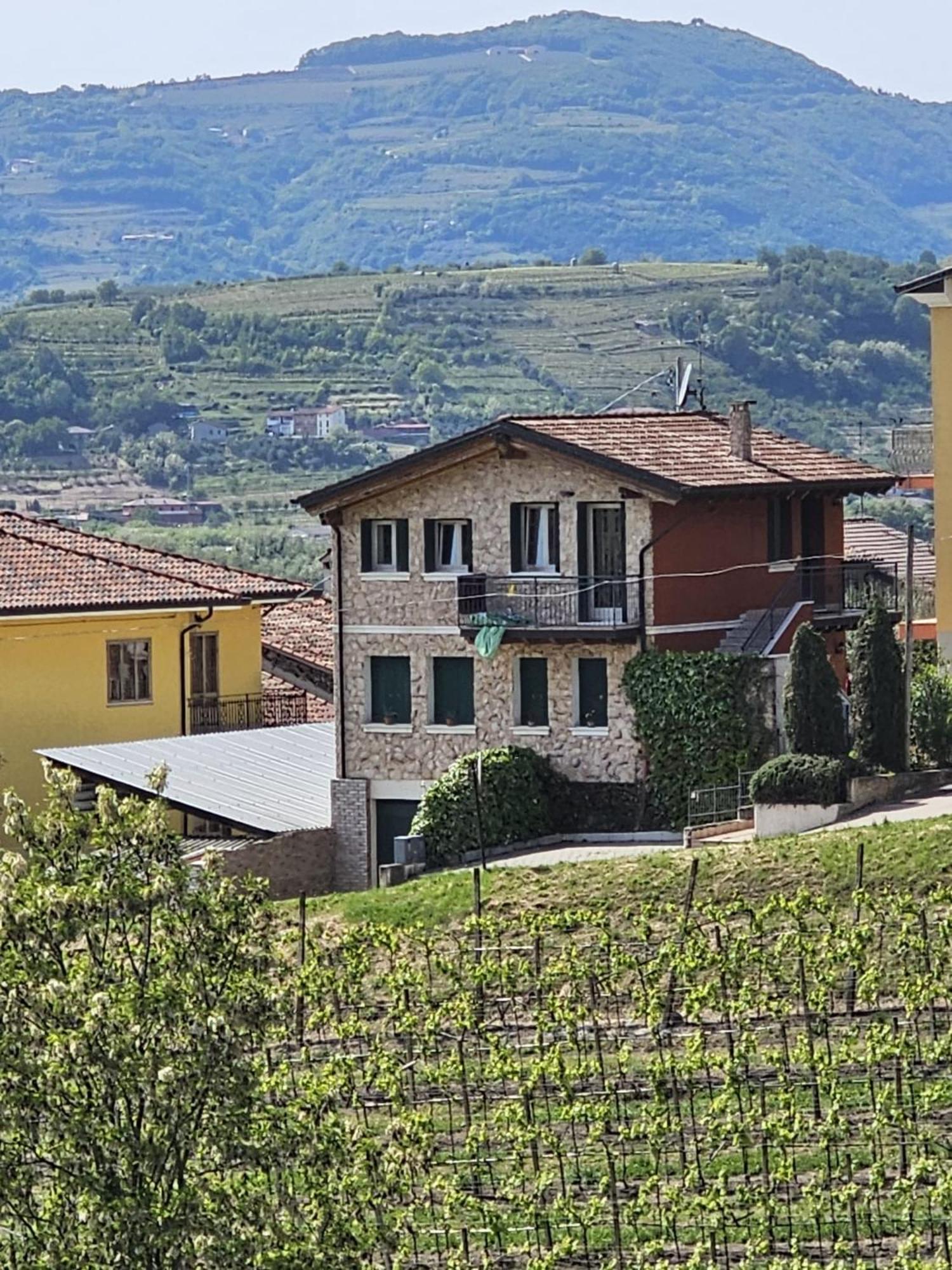 Residenza Viti del Durello Locazione turistica view 2
