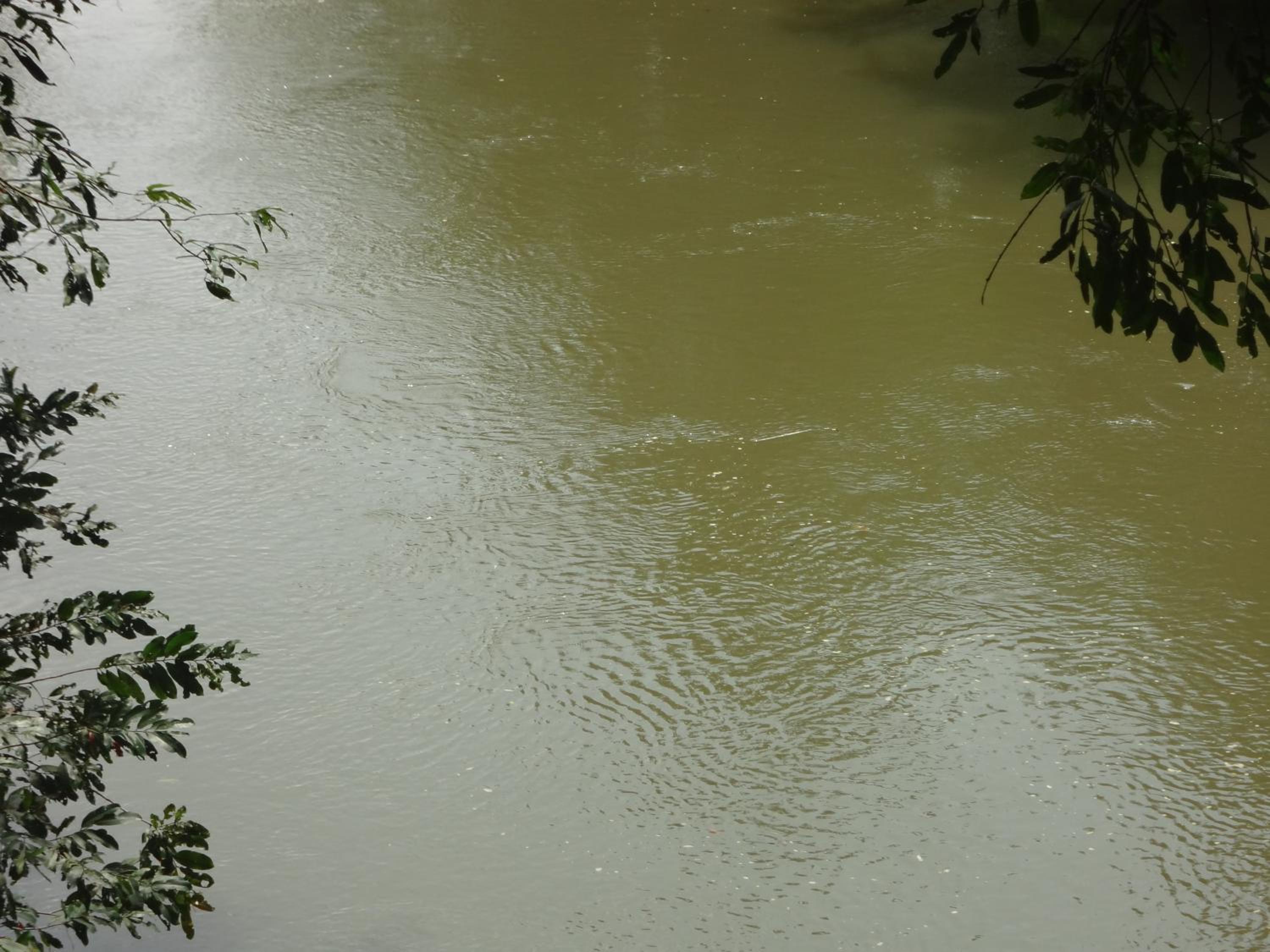 Photo 34