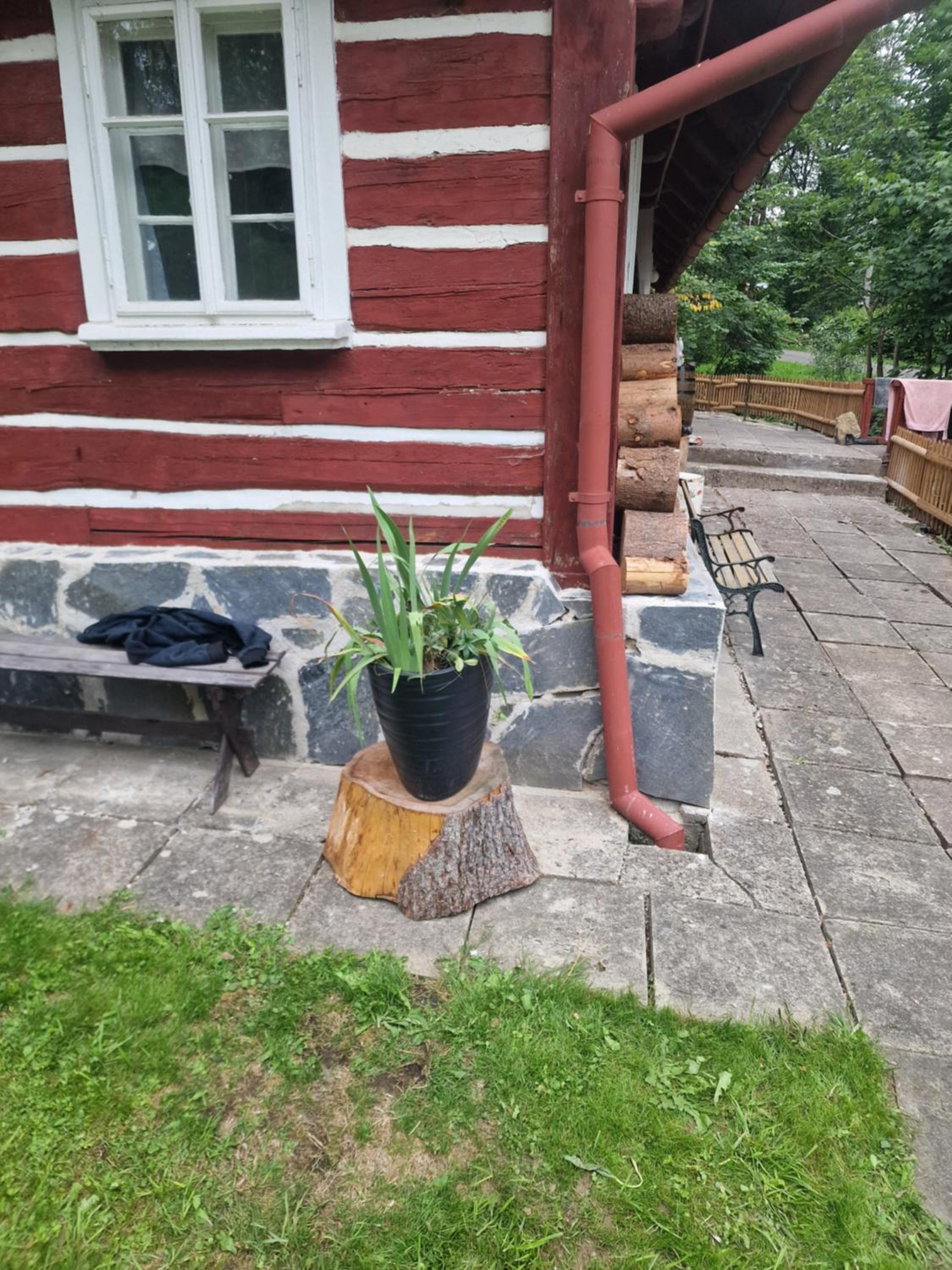 Jedová Chýše Skalka