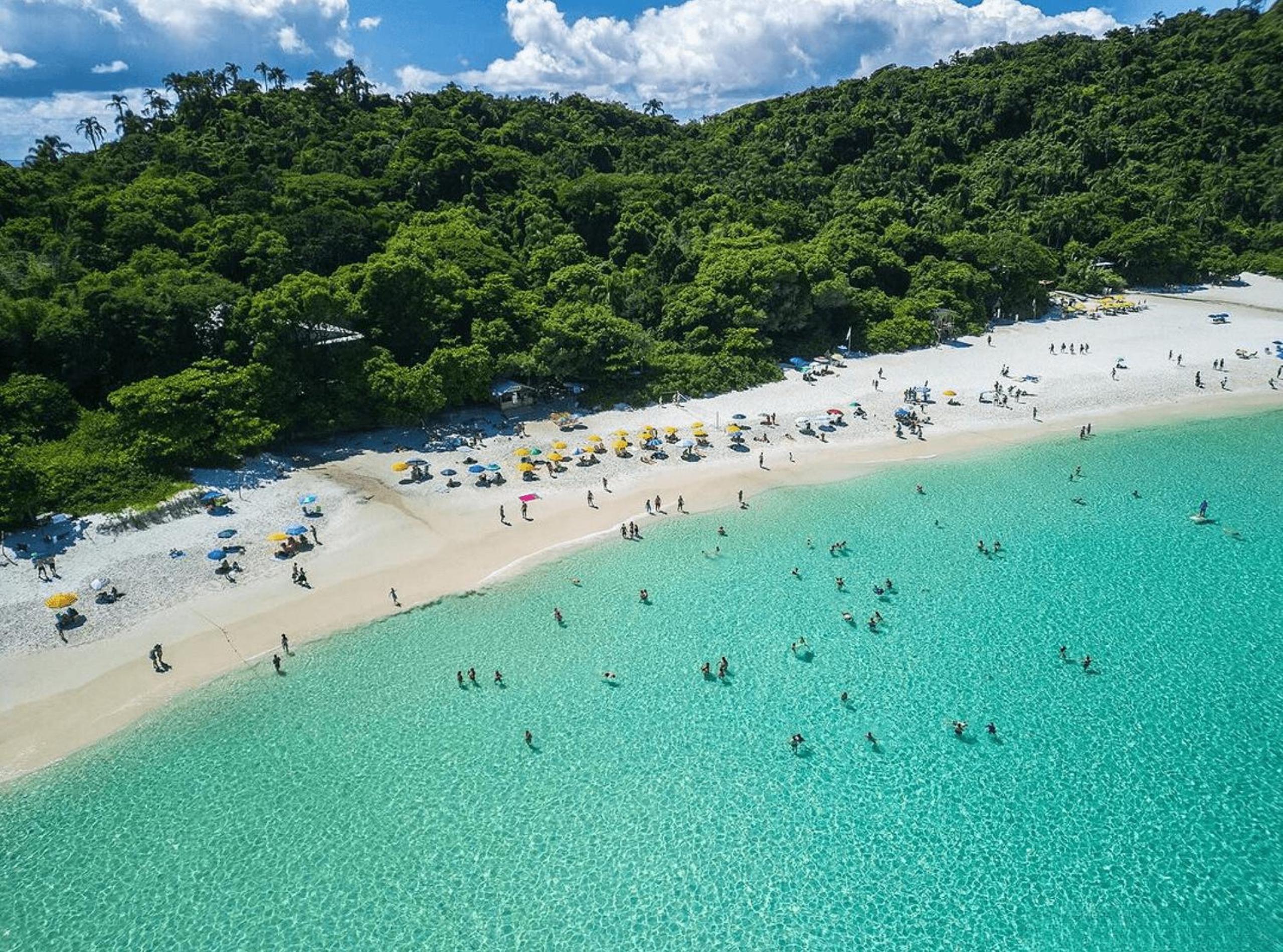 Studio Shopping OKA Floripa - Campeche - SOK005