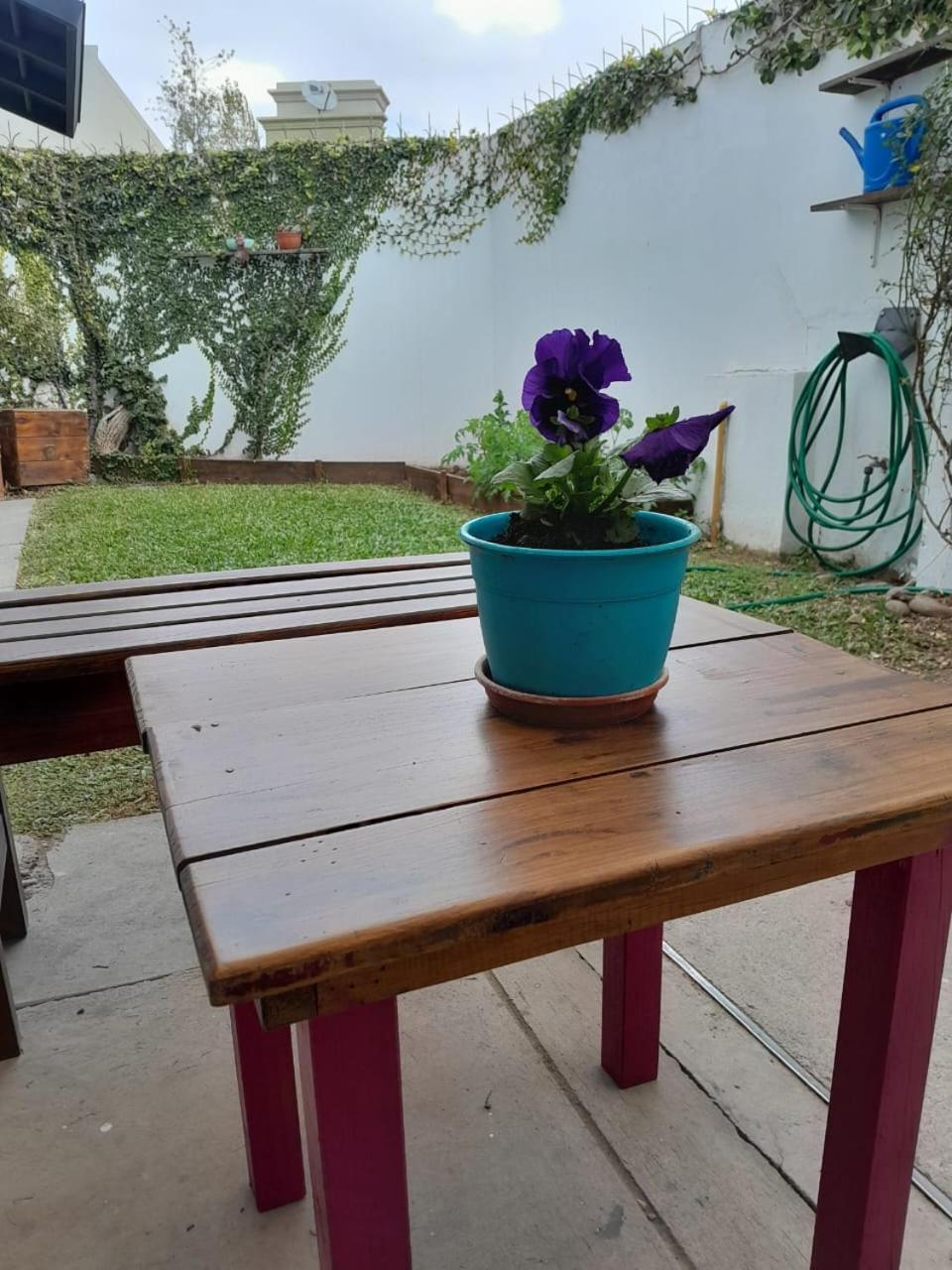 CASA PAMPA tres cerritos