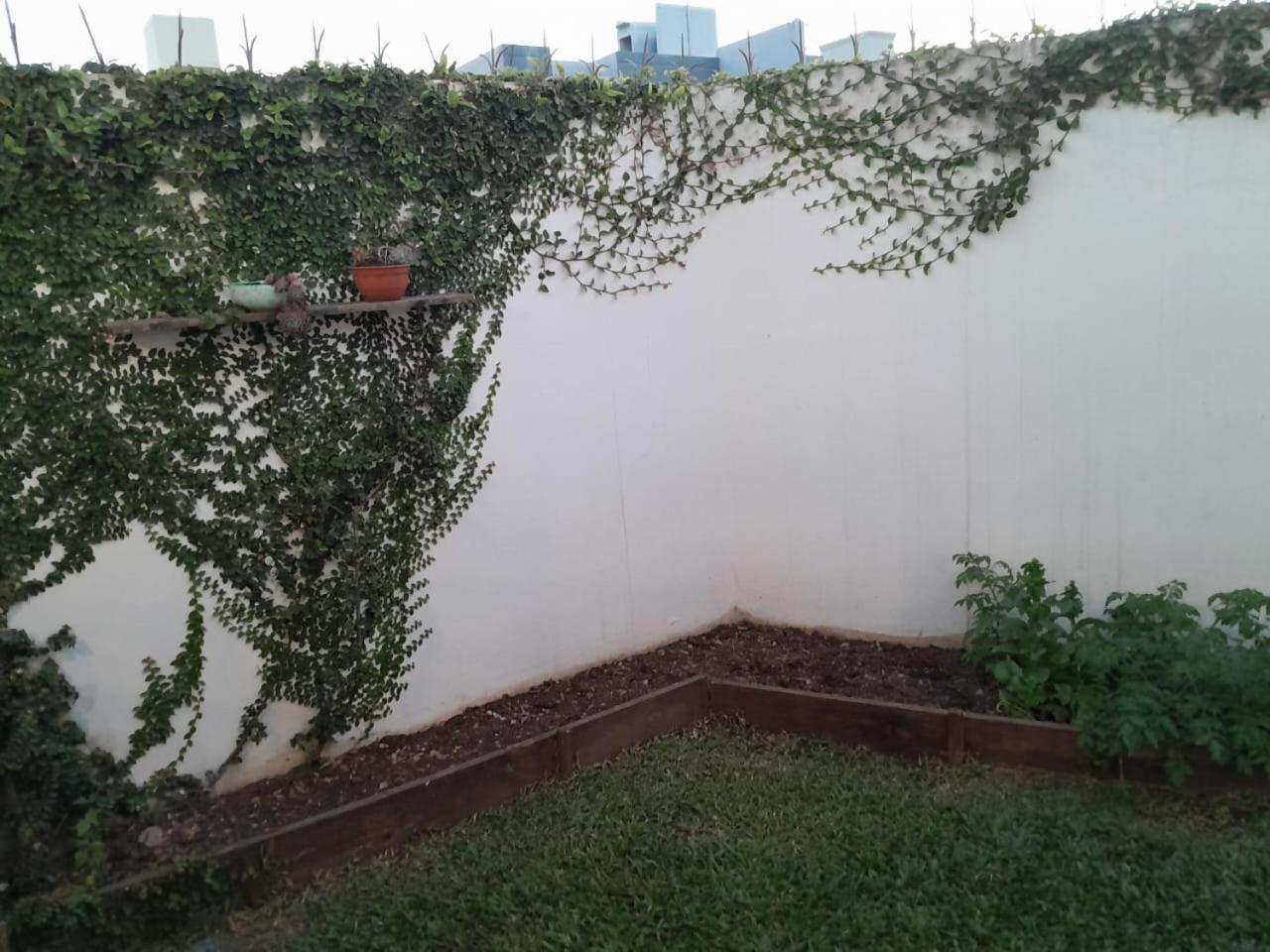 CASA PAMPA tres cerritos