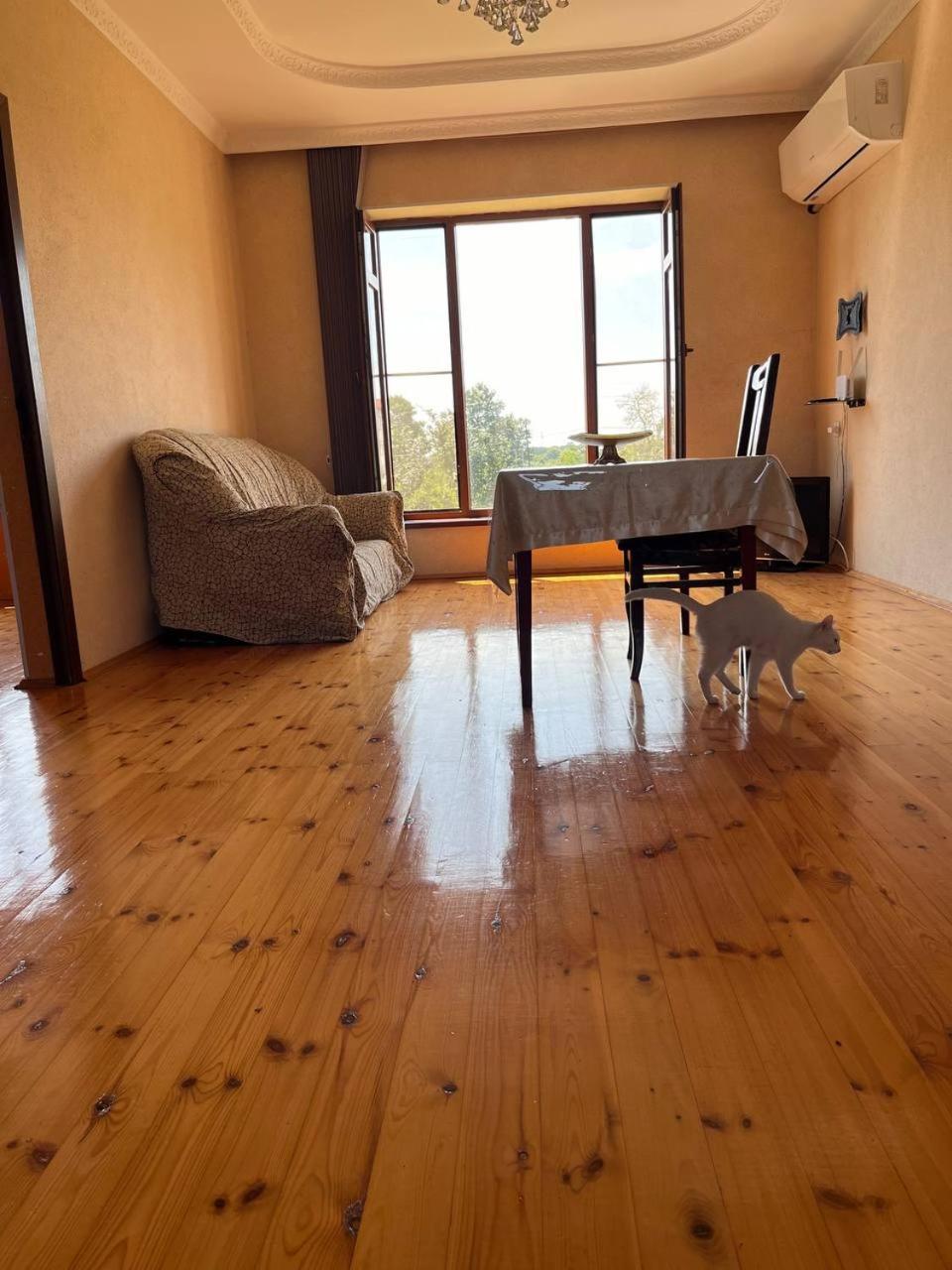 Haftoni Village House