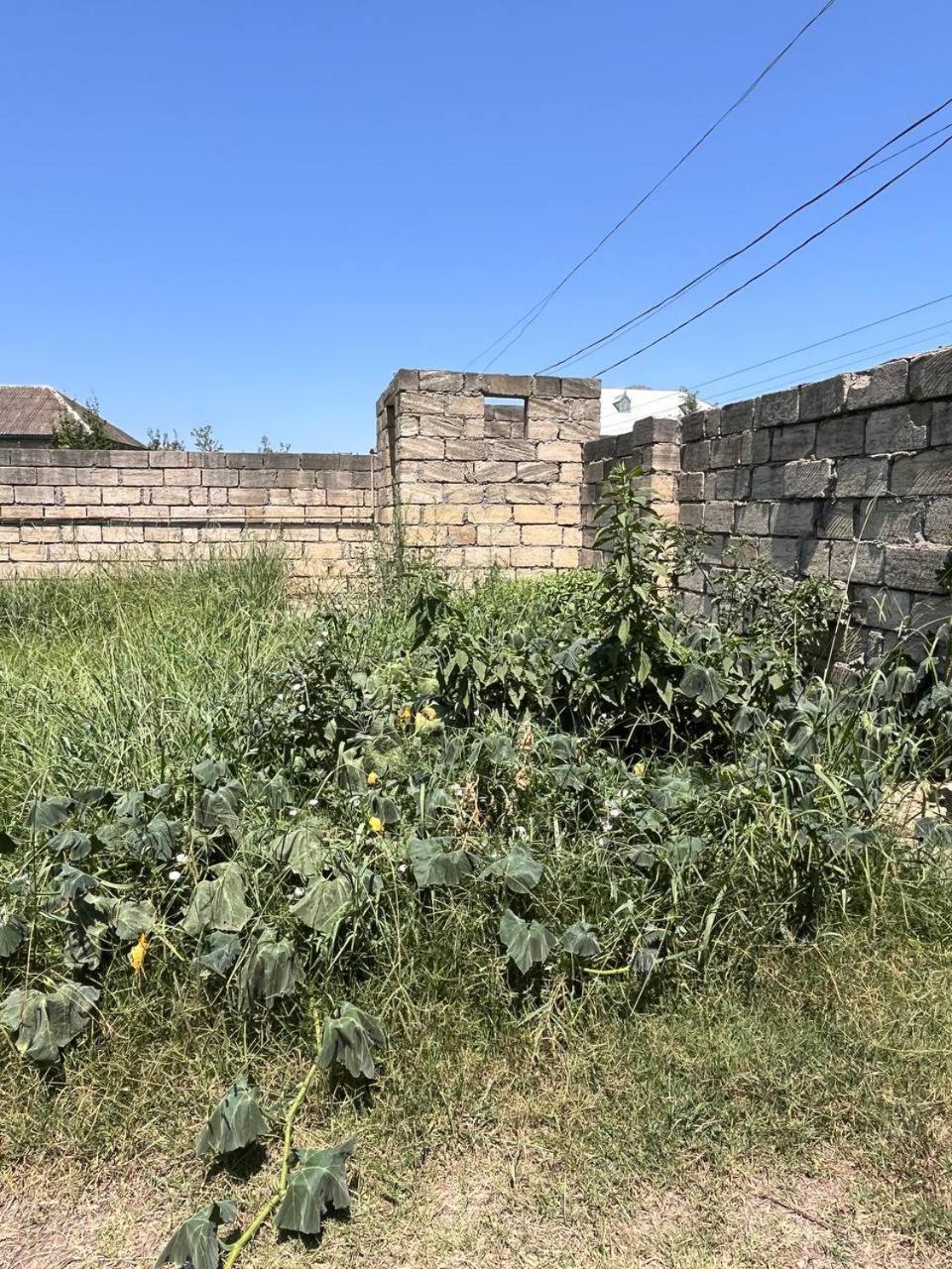 Haftoni Village House