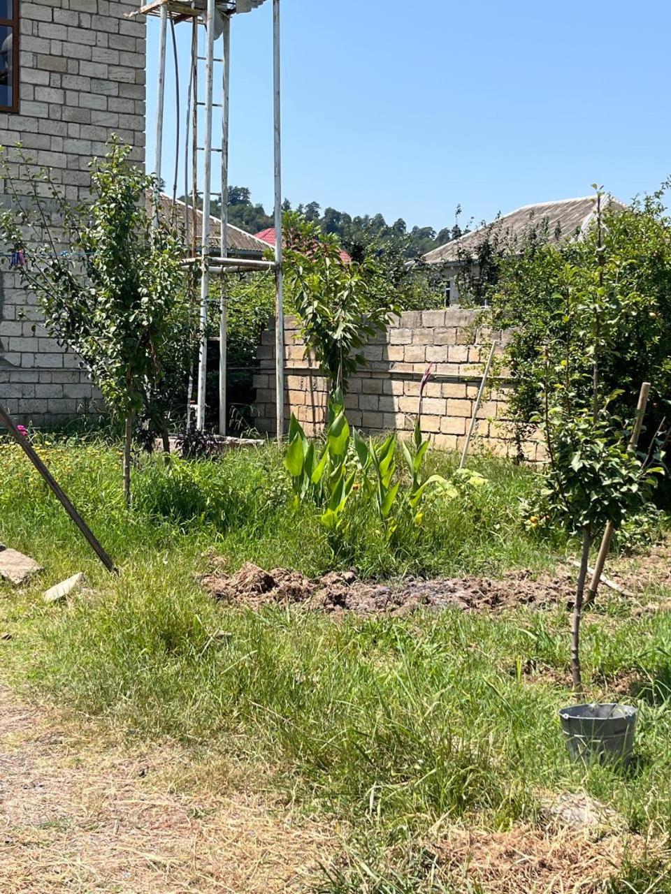 Haftoni Village House