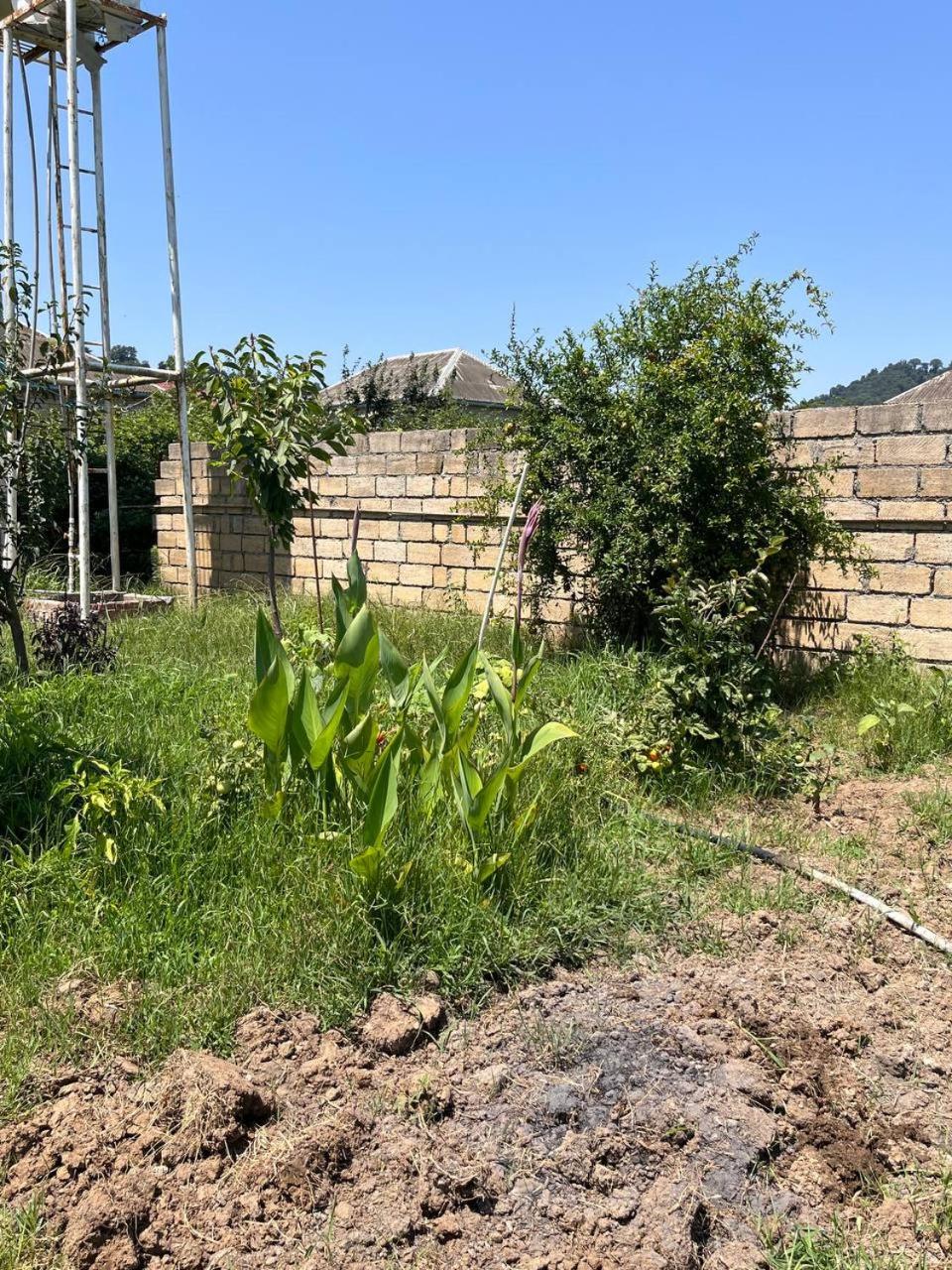Haftoni Village House