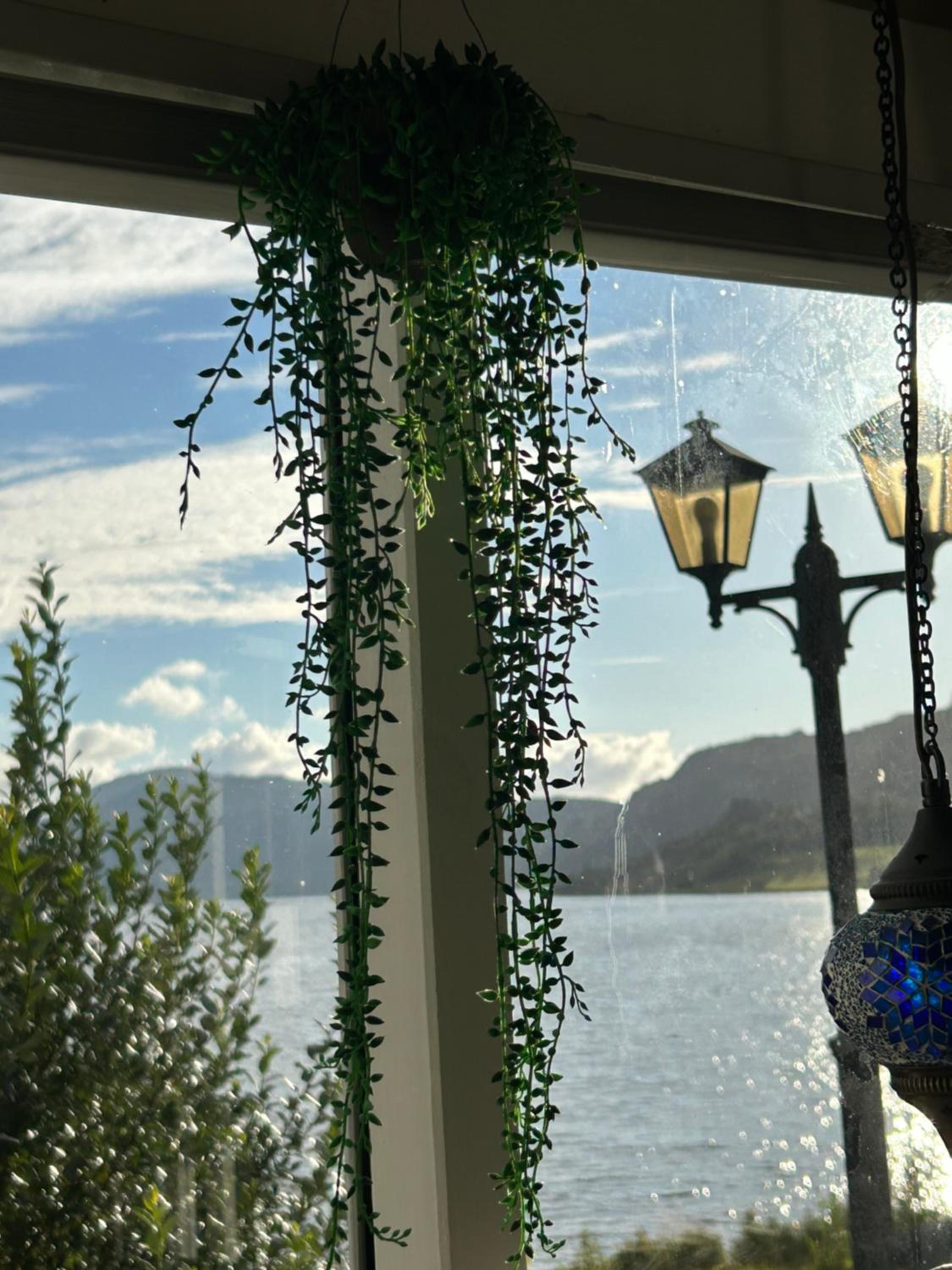Villa på Neset view 3