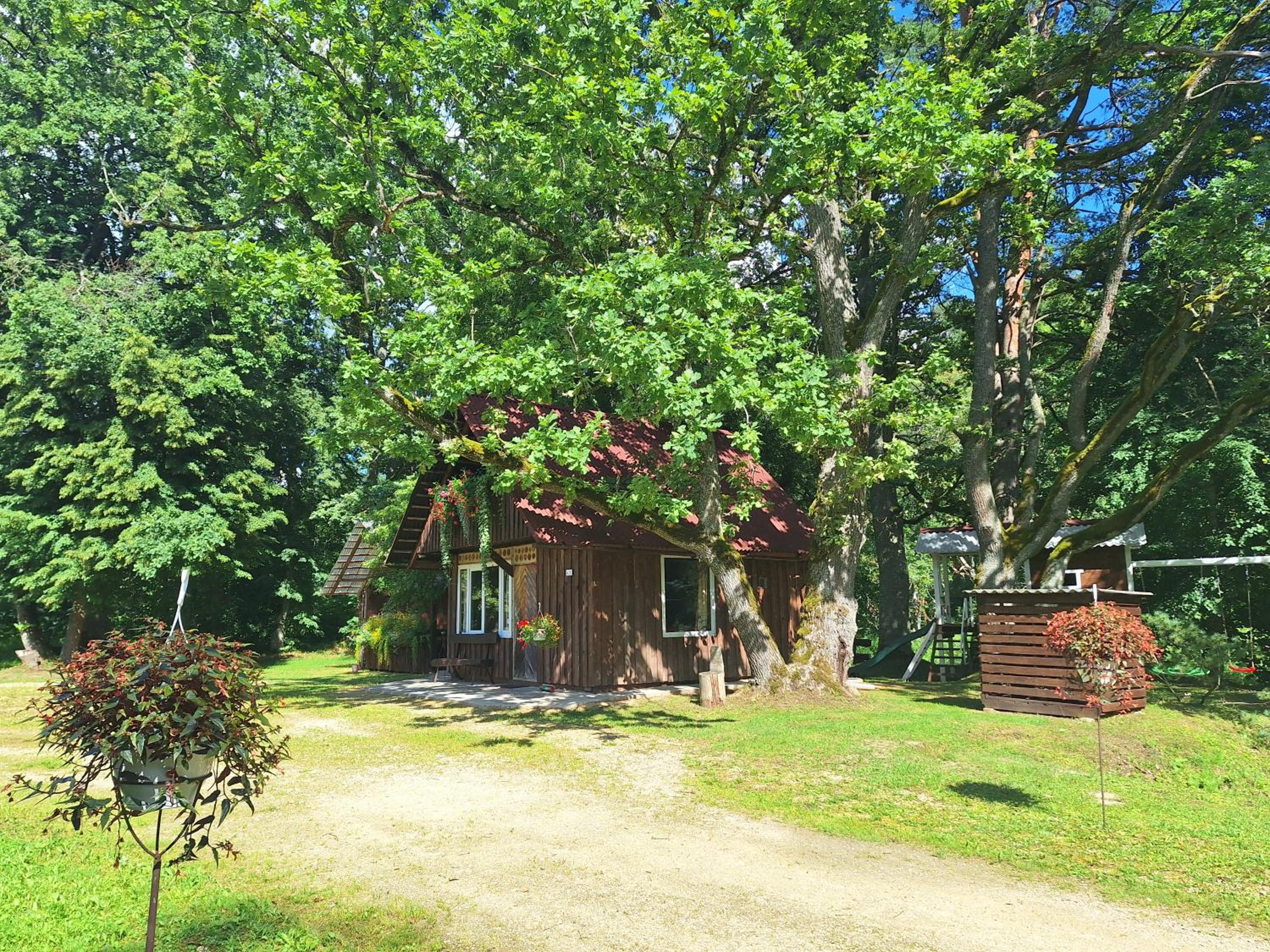 Toma pirts VIDĒJĀ view 2