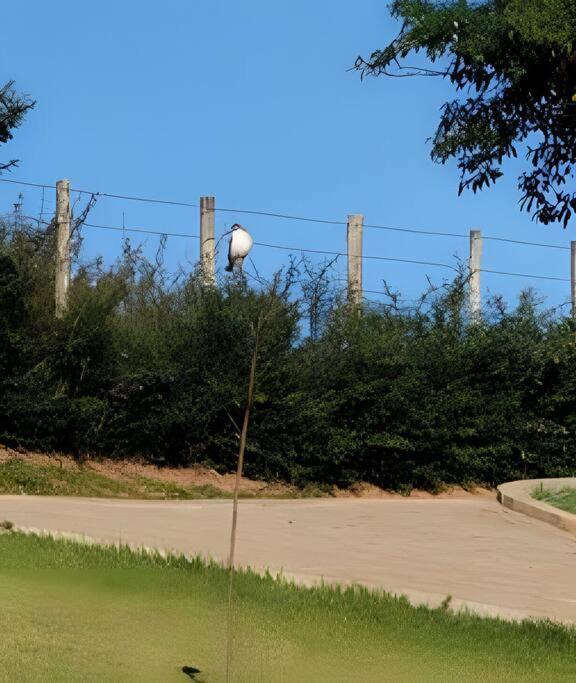 Casa de Campo em Cunha - Vila Santa Cruz Cunha - Vista Exuberante