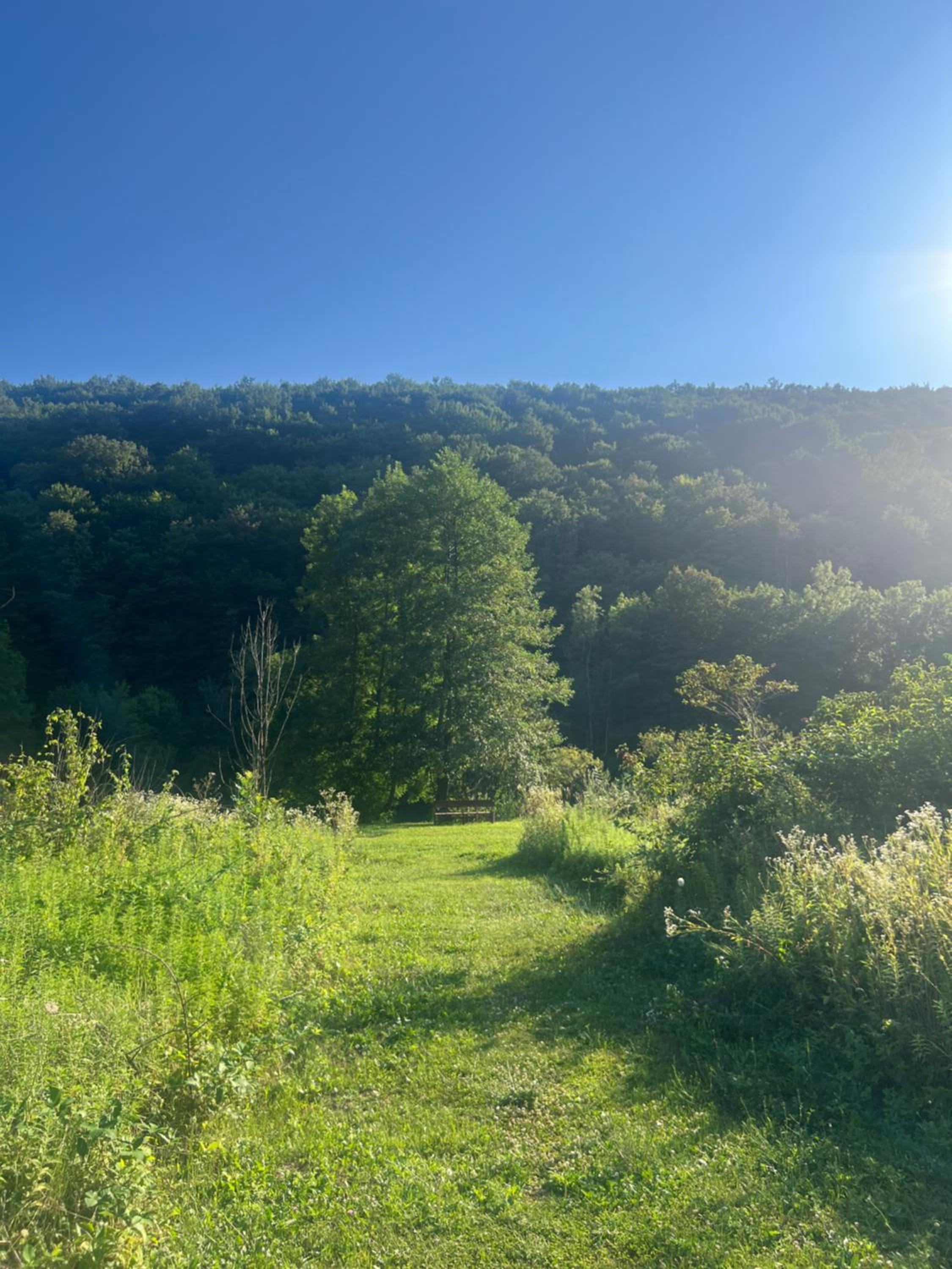 Elza