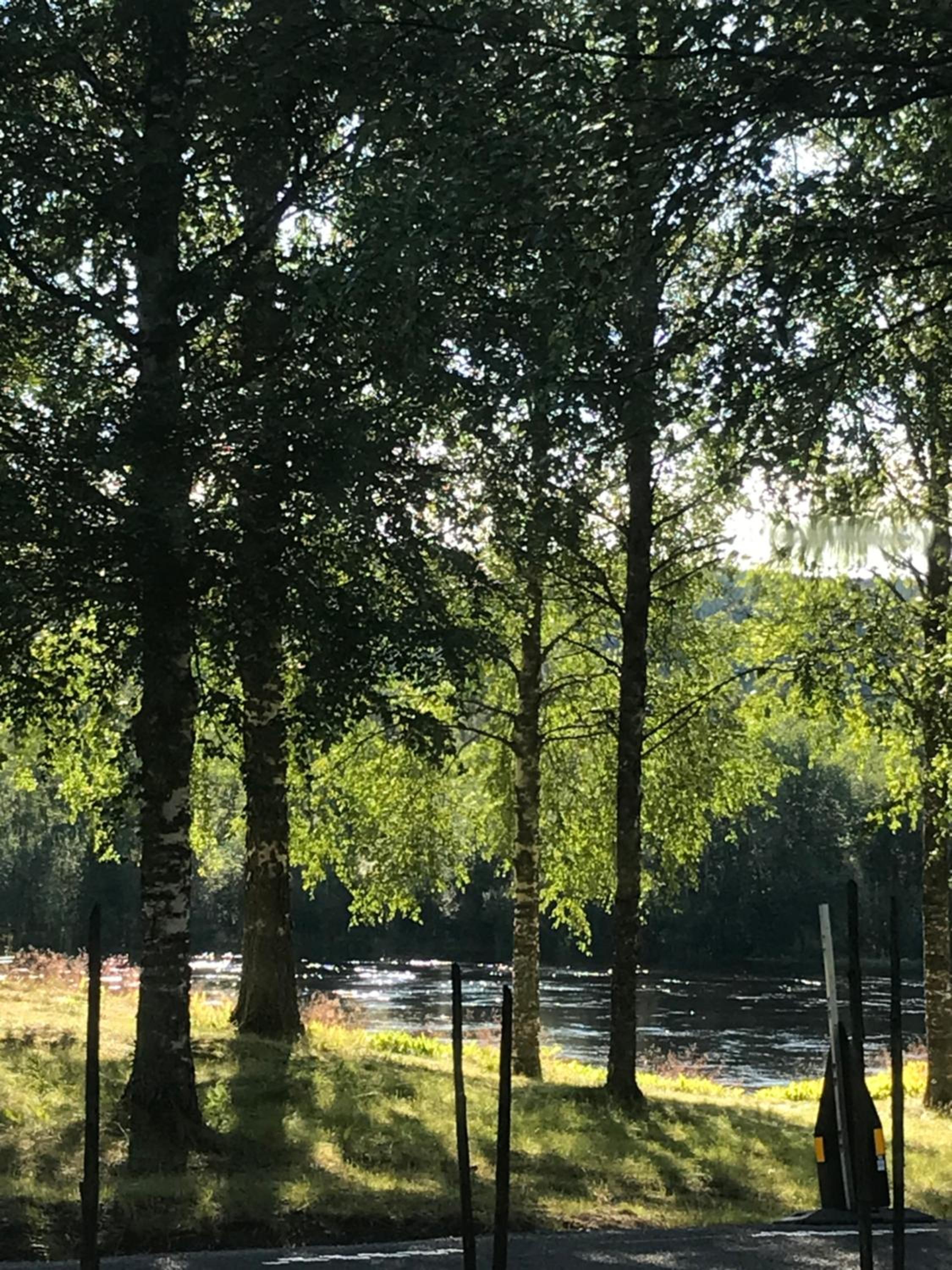 Liten stuga Klarälvdalen view 4