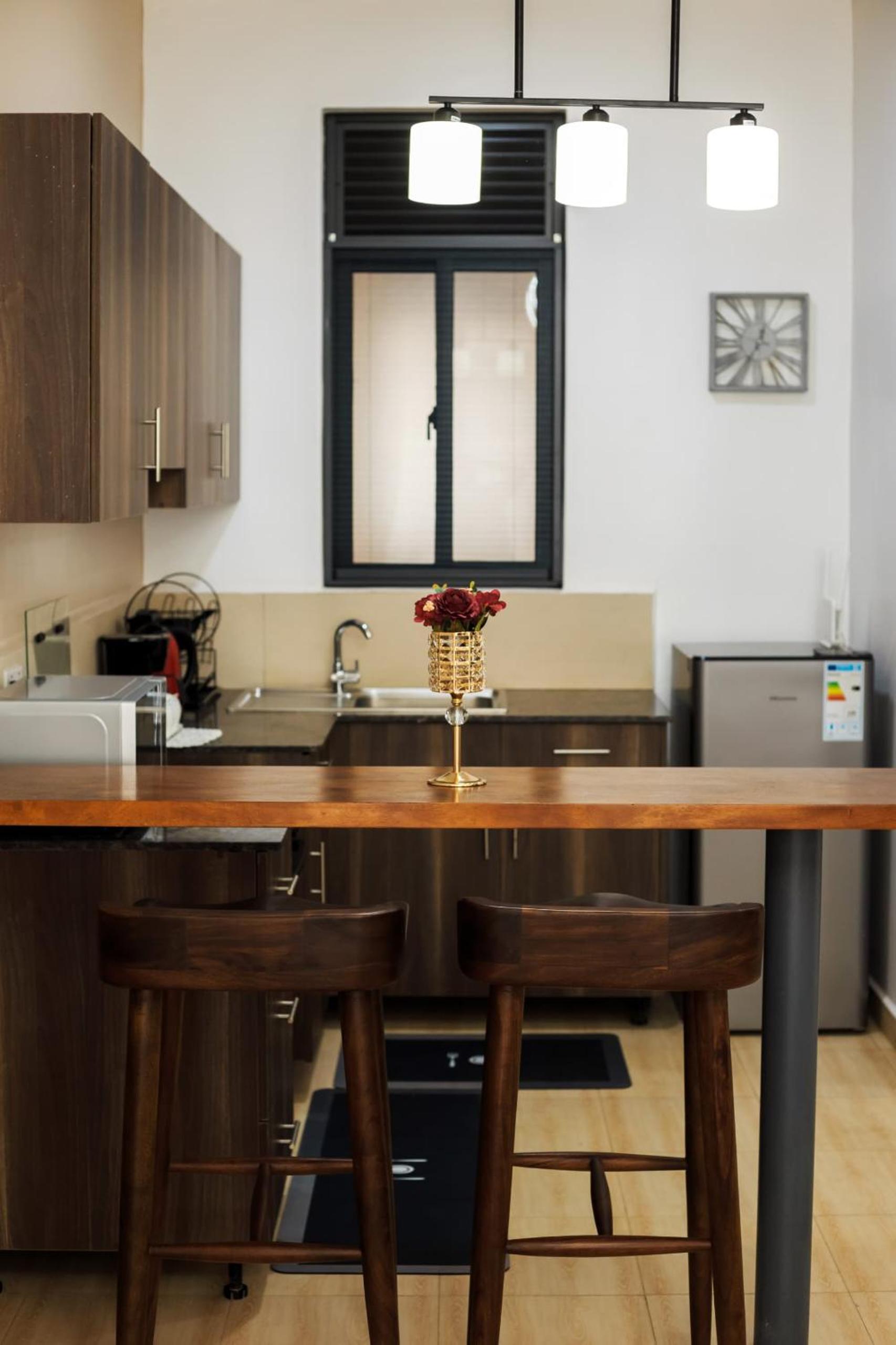 Cozy Luxe Apartment view 5