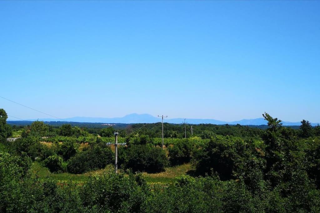 Photo 28