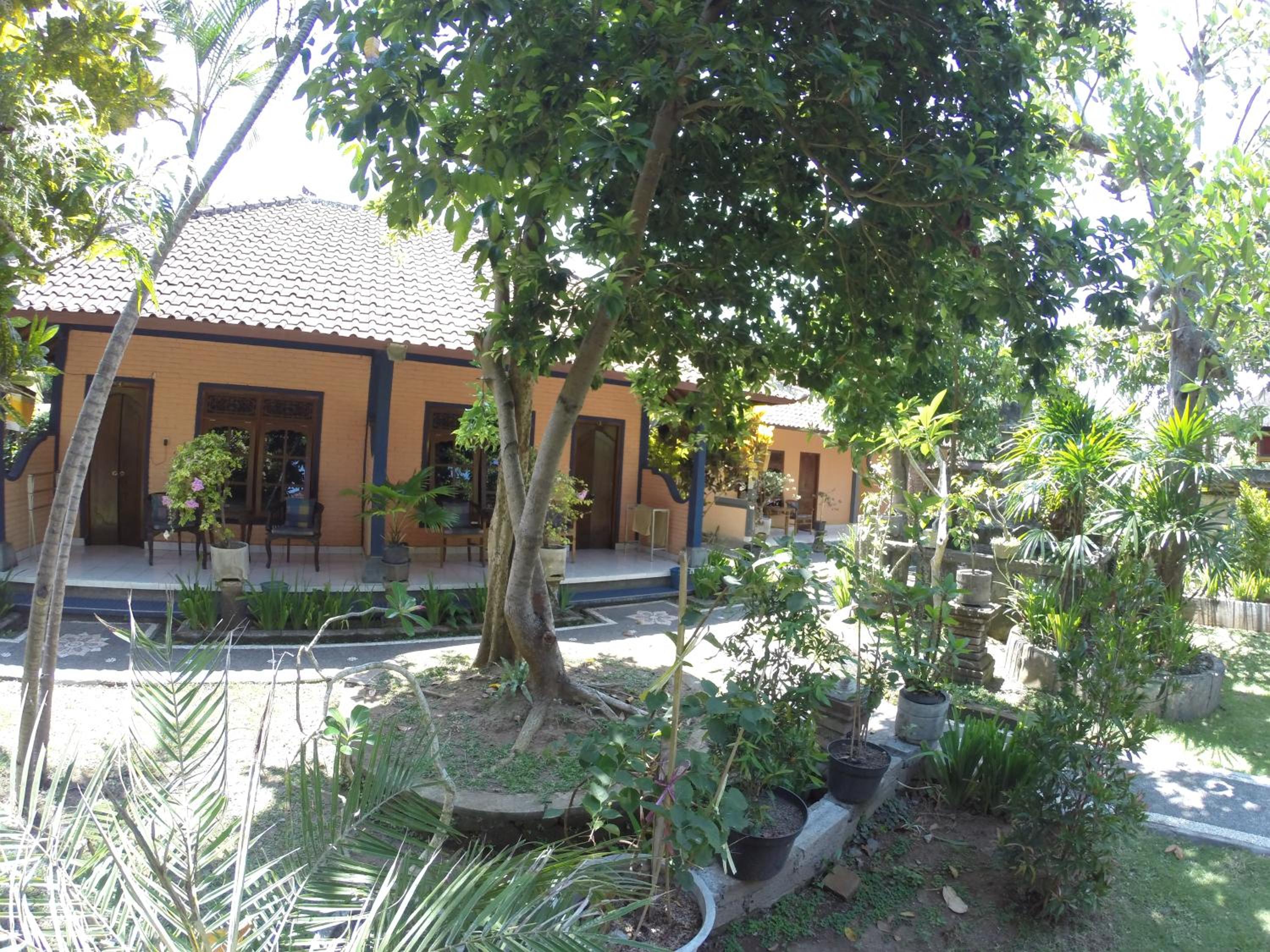 Photo 42