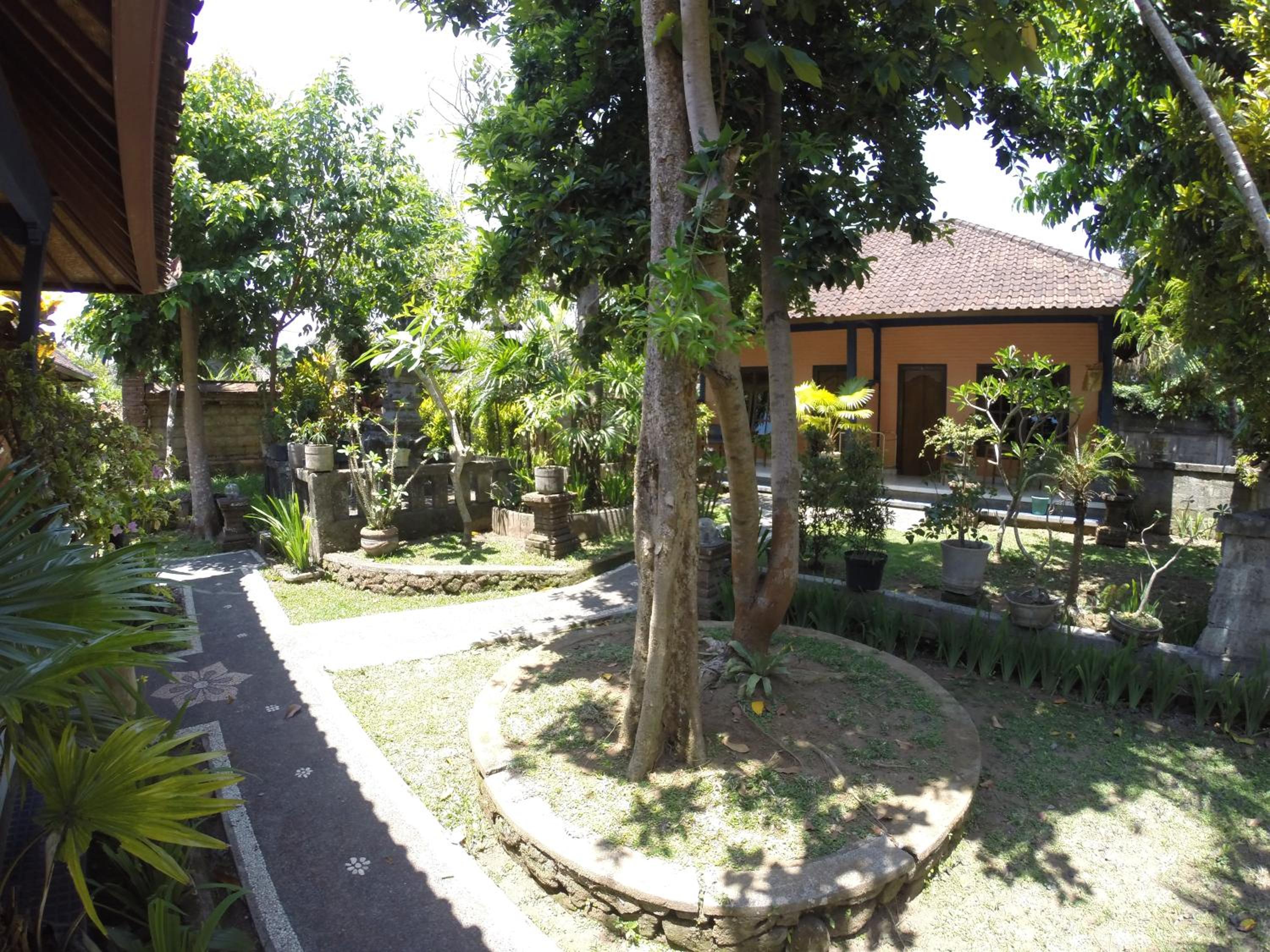 Photo 44