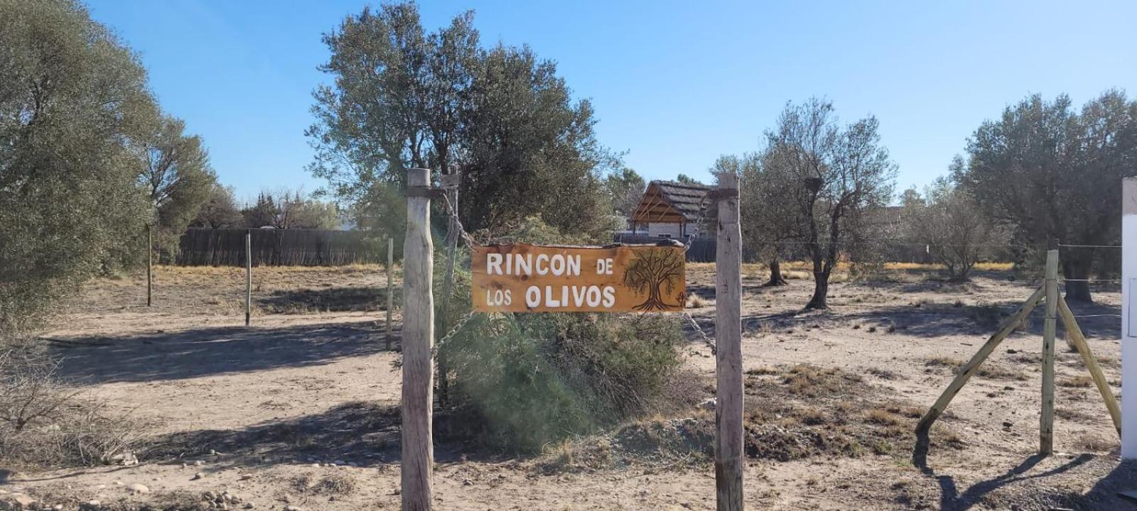 Duplex - Rincon de Los Olivos - en San Rafael
