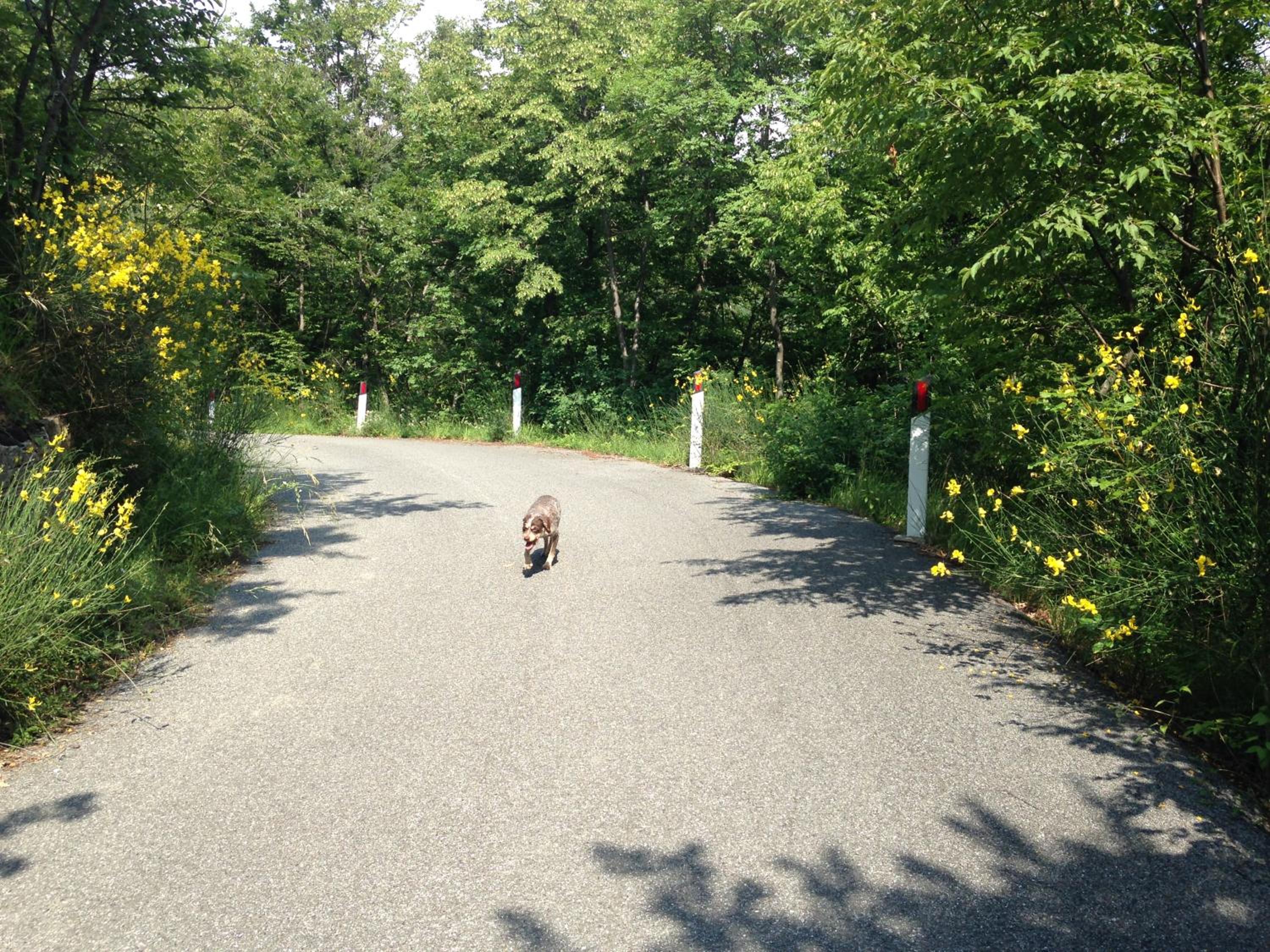 Photo 27