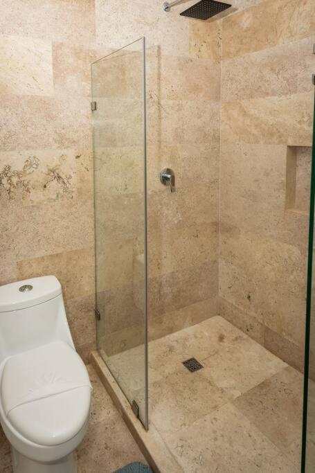 Penthouse con alberca privada
