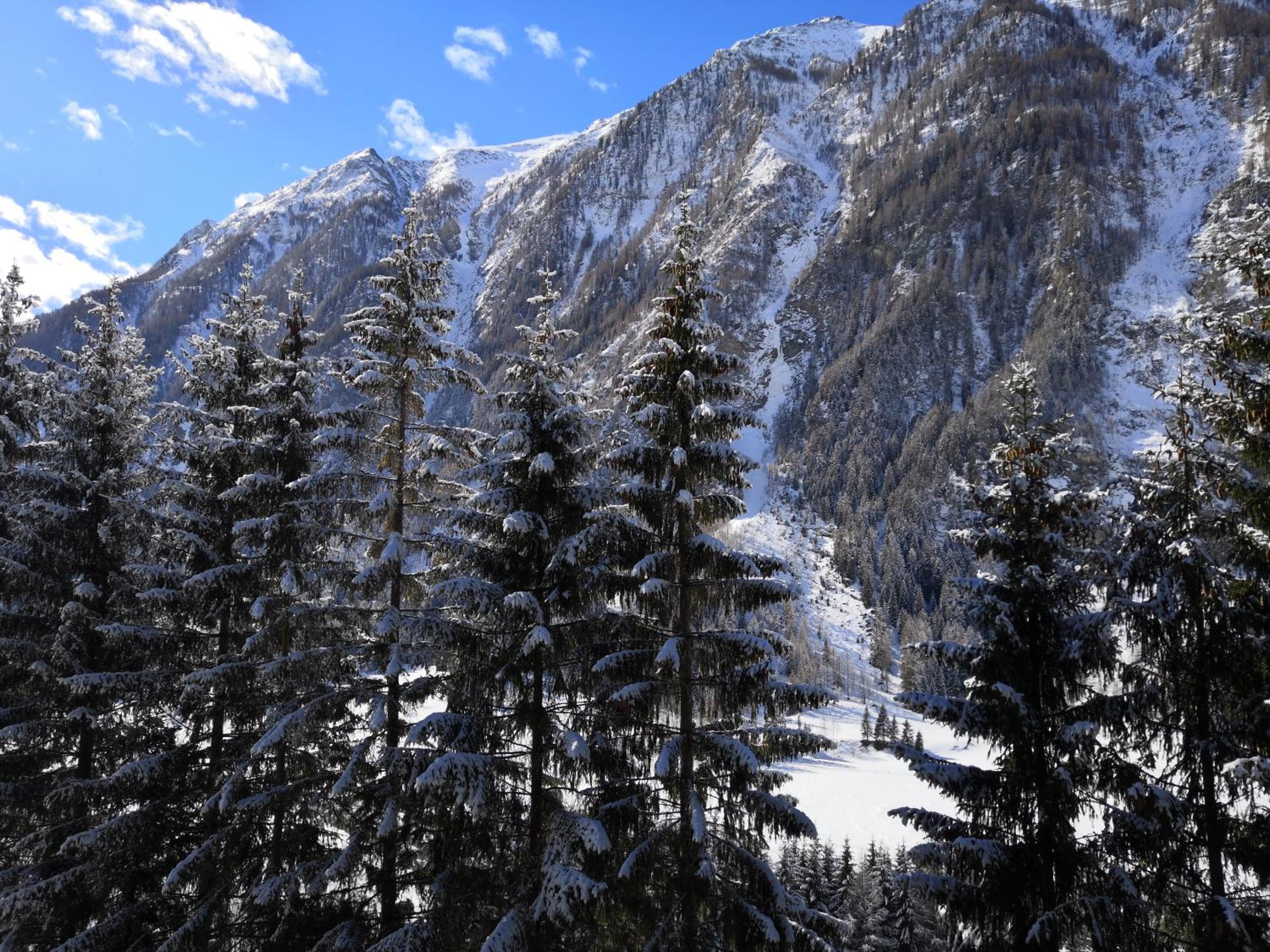 Berghaus Glockner, Niedermeyer