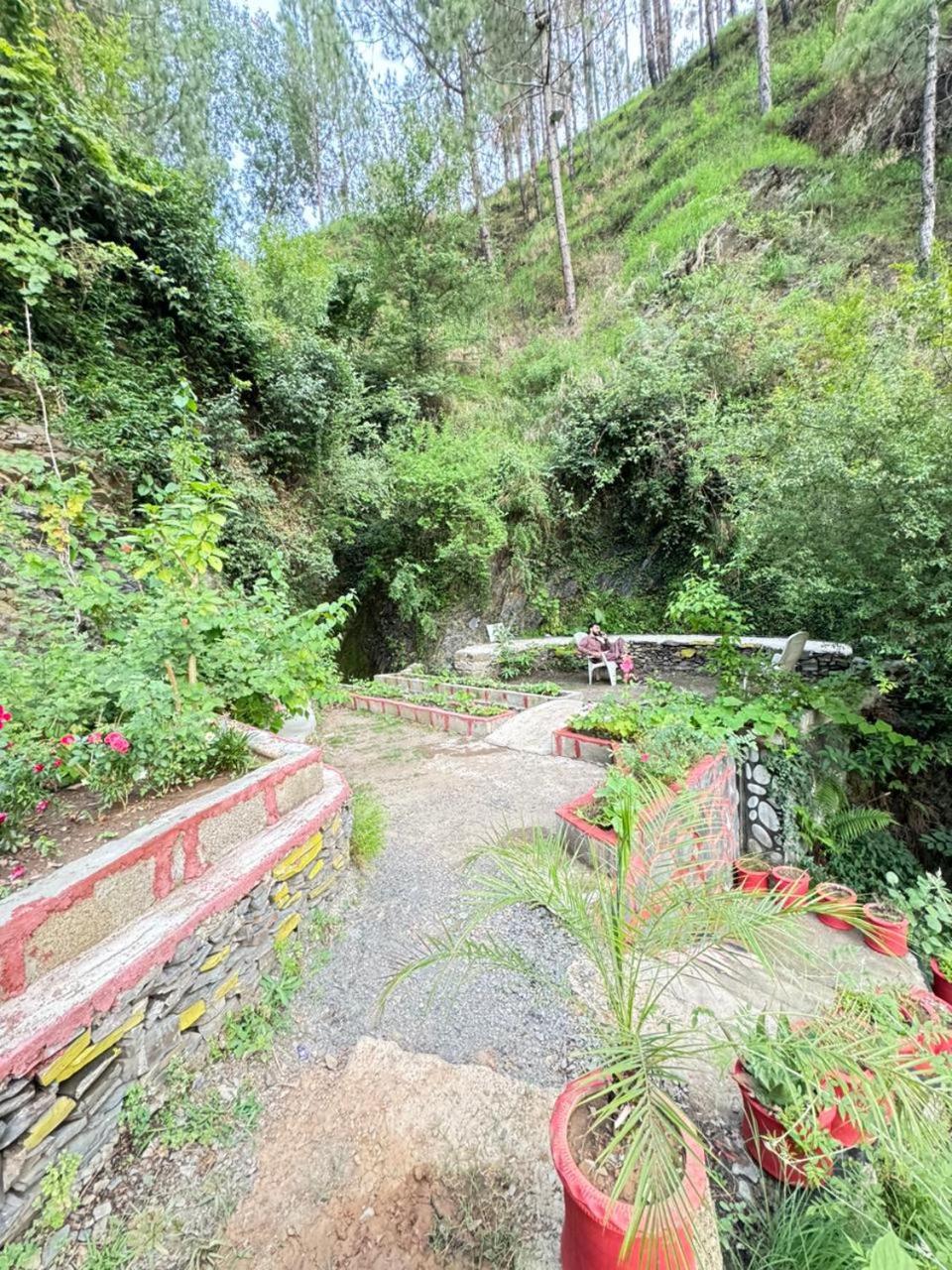 Photo 16