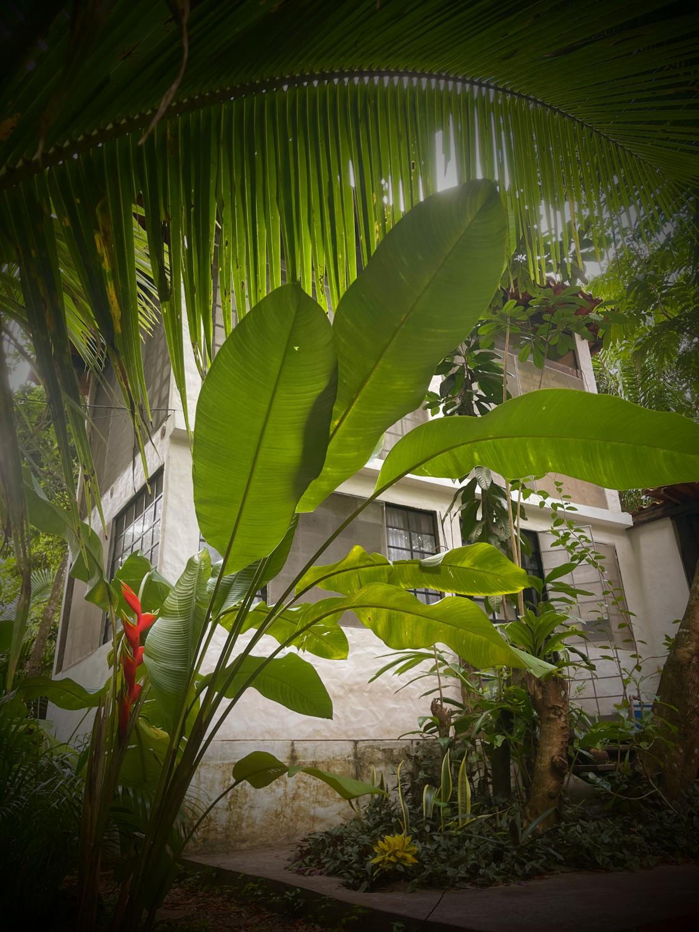 building