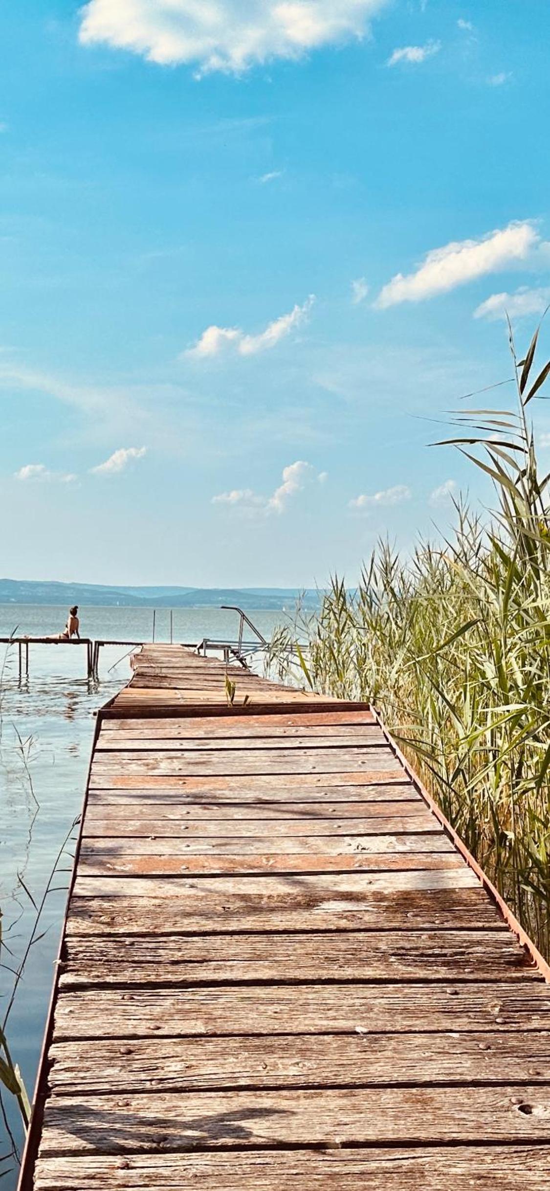 Szárszó Apartment with 3 rooms and PRIVATE BEACH, PRIVATE PARKING view 2