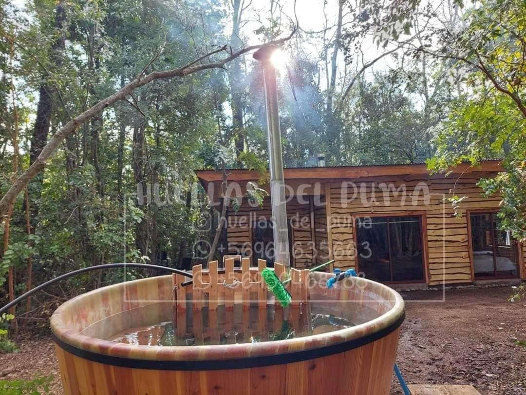 Huellas del puma