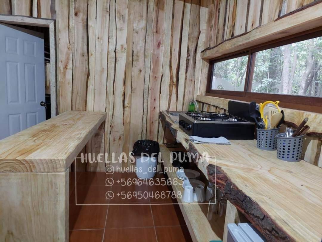 Huellas del puma