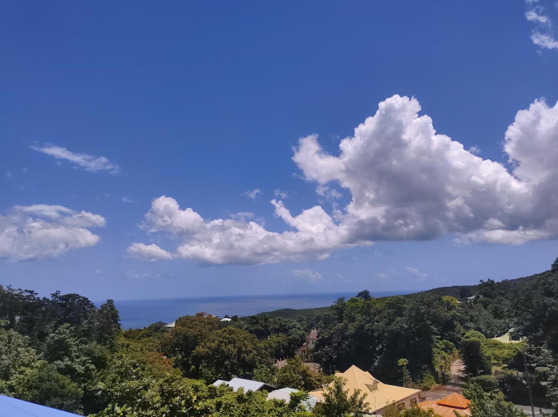 Location Hibiscus