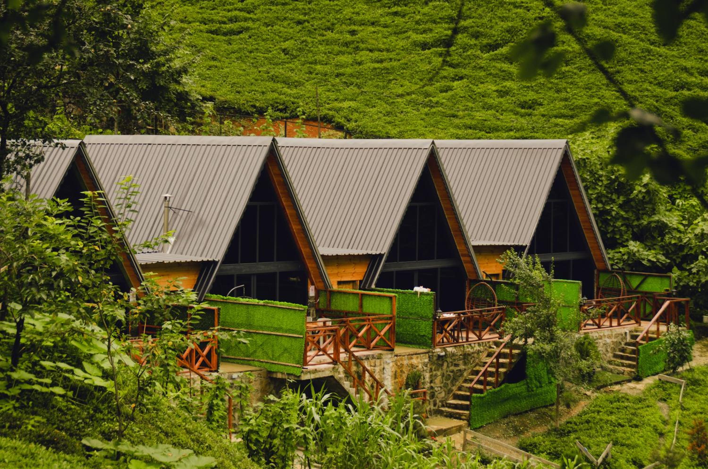 Hotel Waterfallbungalow - Image 1