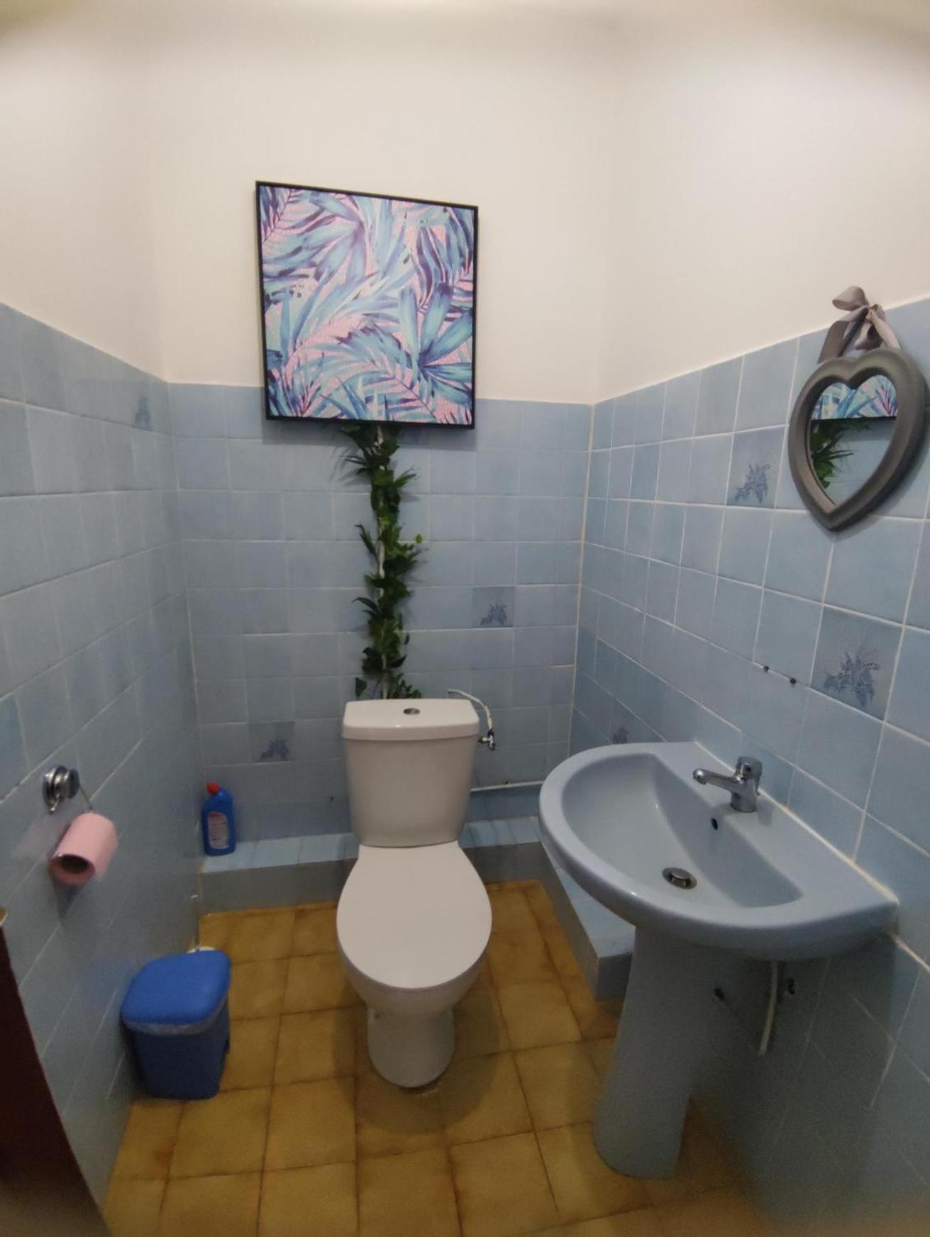 Location Hibiscus