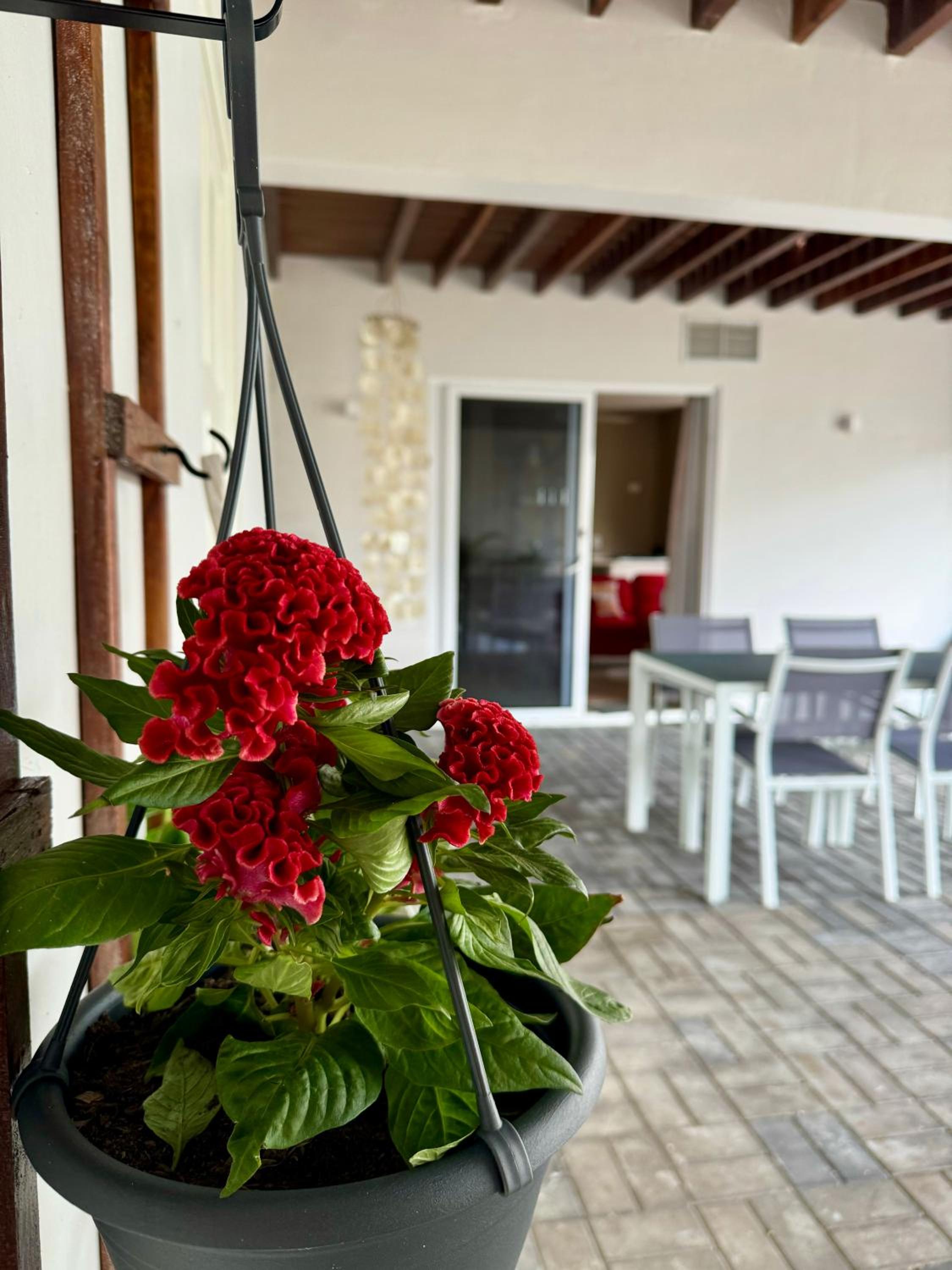 Cozy 2 Bedroom Apartment in Brakkeput