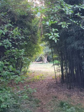 Cabaña Laureles