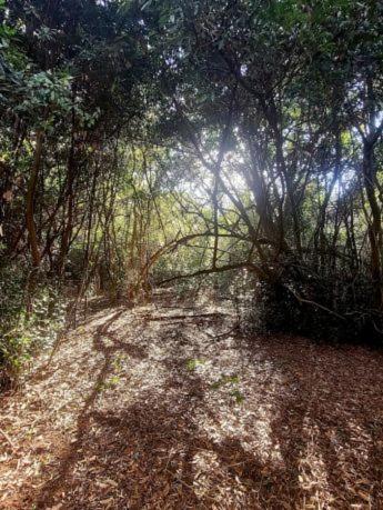 Cabaña Laureles
