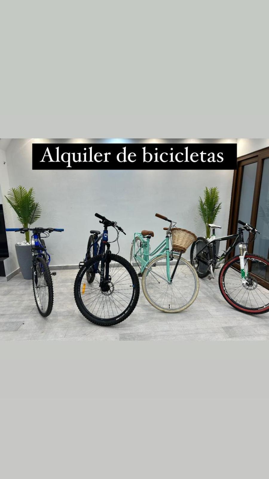 Apartamentos El Fortín