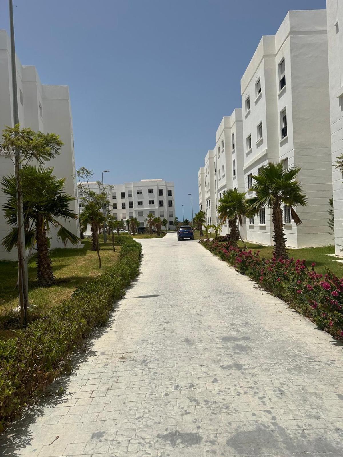Riad tanger forêt diplomatic view 2