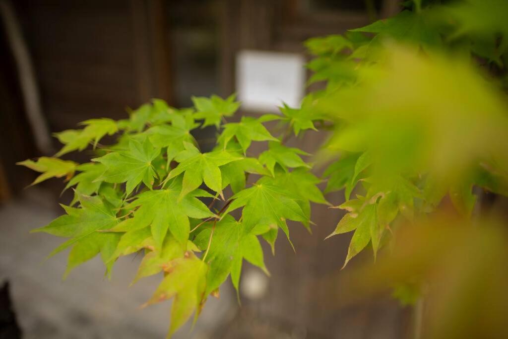 mokumoku海sakanoshita