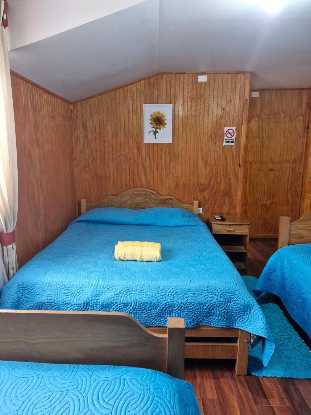 Hostal Flores del Sur