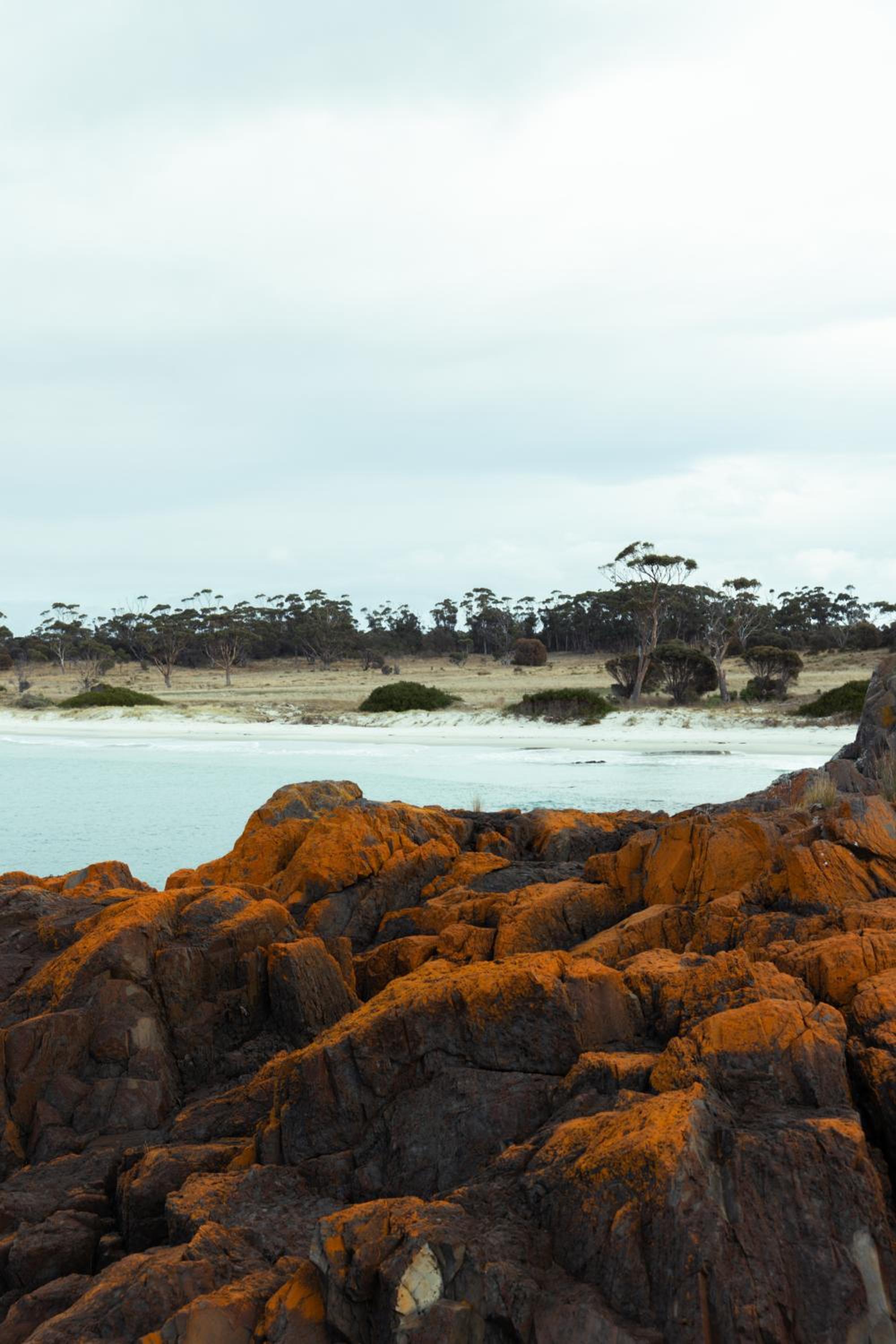 Gregan's Retreat - Lisdillon - Waterfront