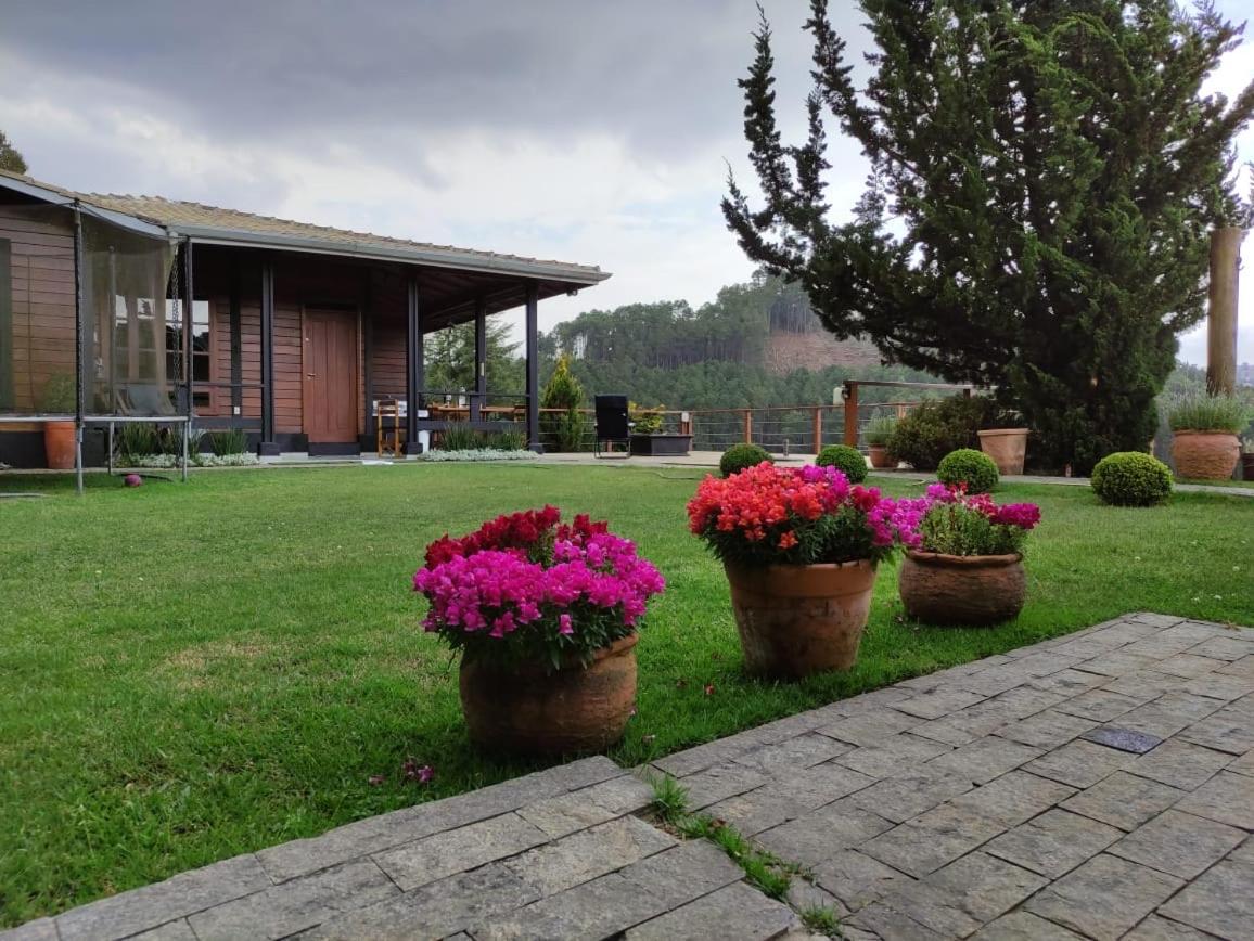 Campos Montanha Encantada
